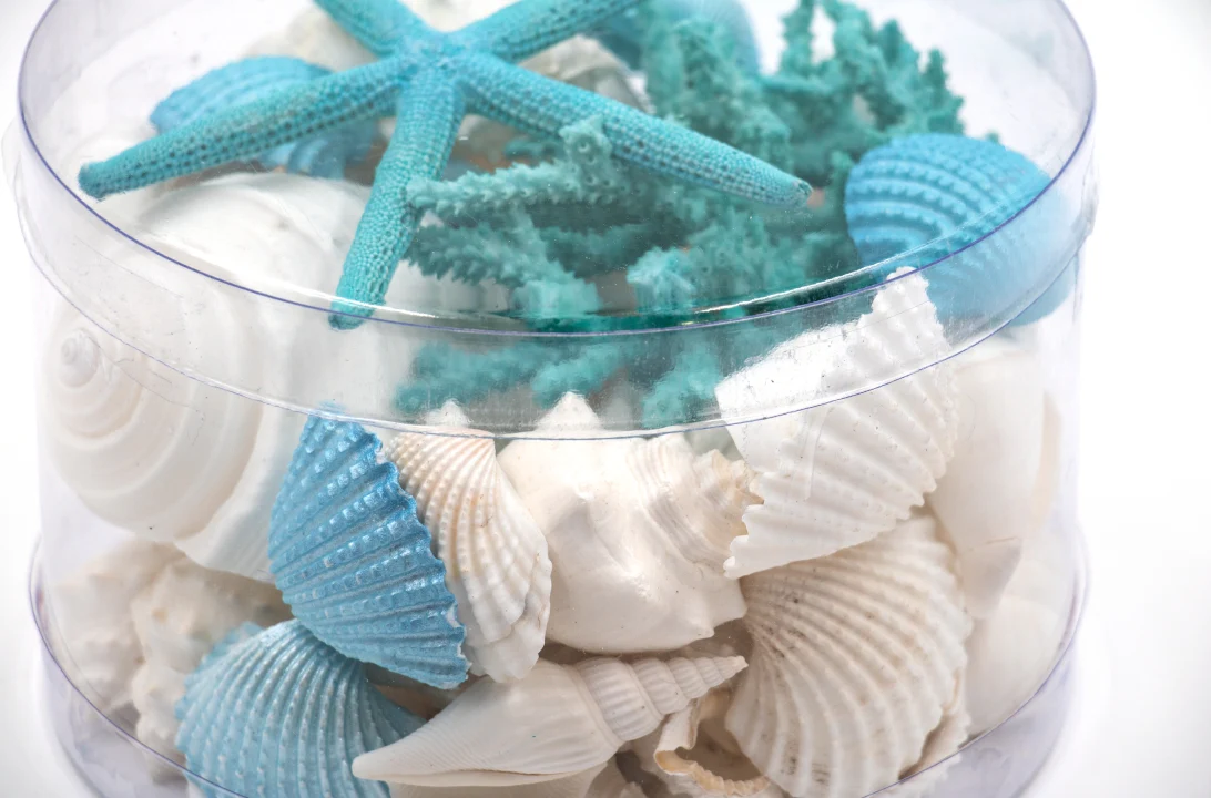 Premium Coral and Shell Pack - Aqua Mist - Image 4
