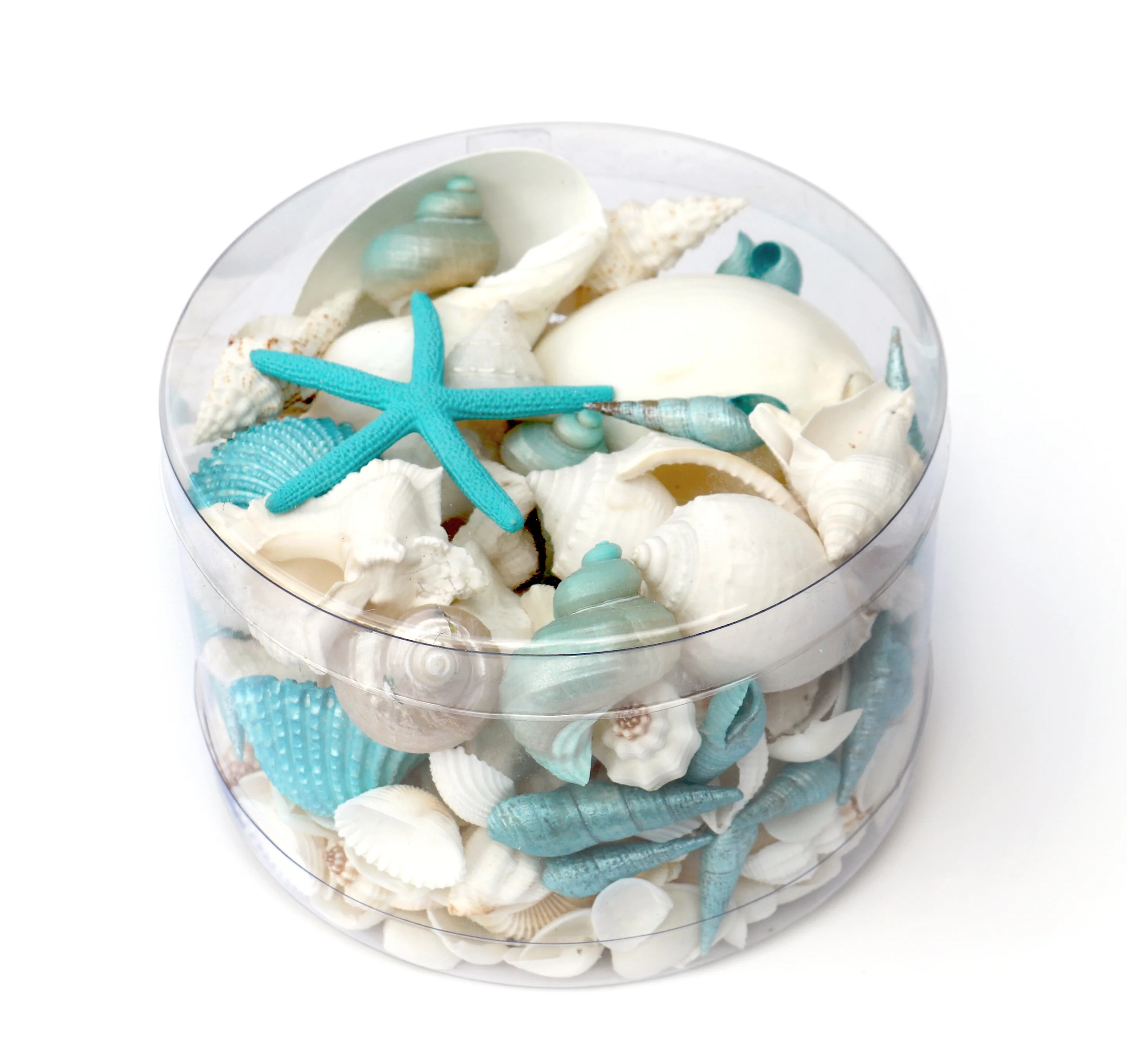 Premium Seashell Pack - Aqua Mist - Image 3