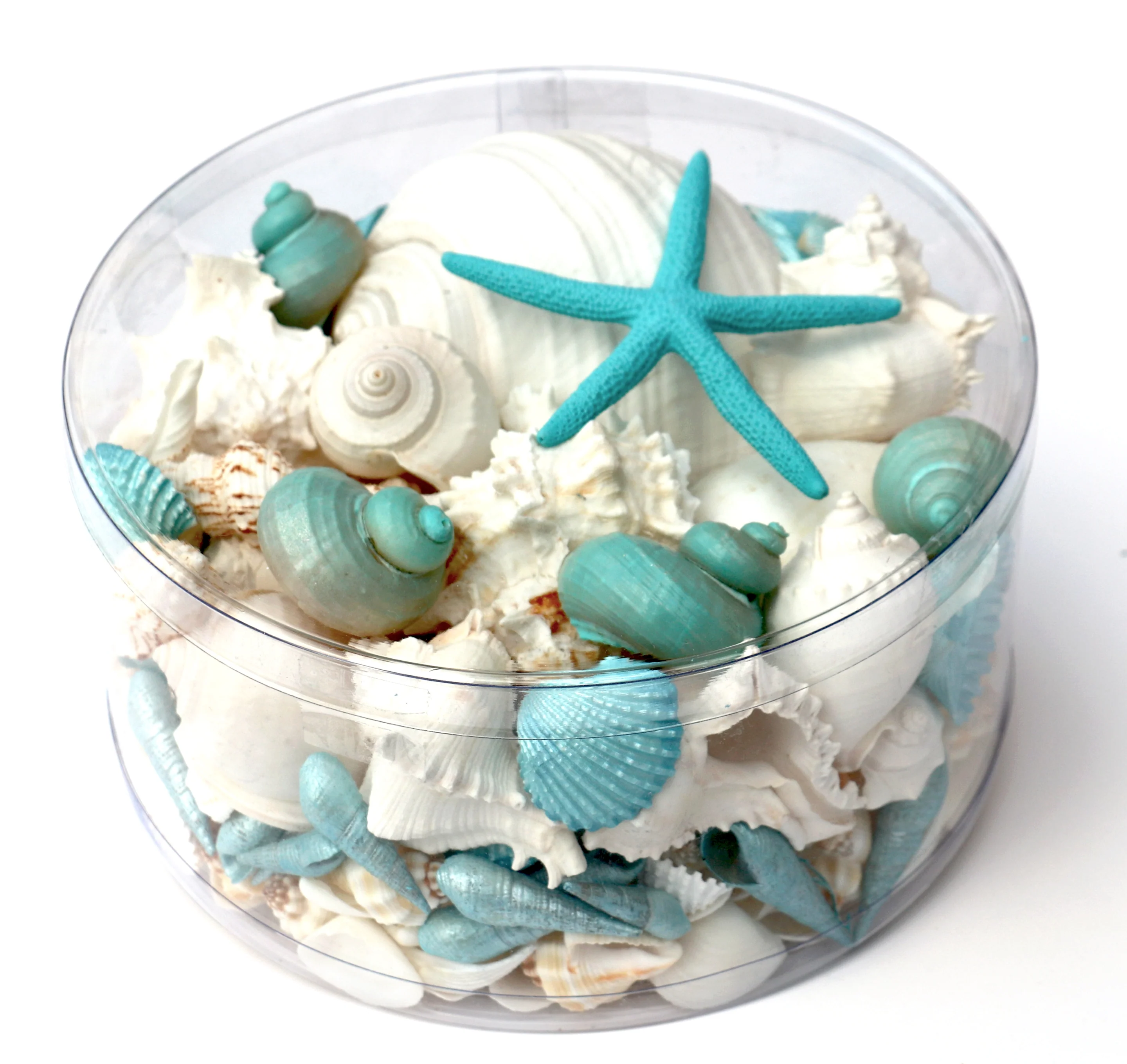 Premium Seashell Pack - Aqua Mist - Image 4
