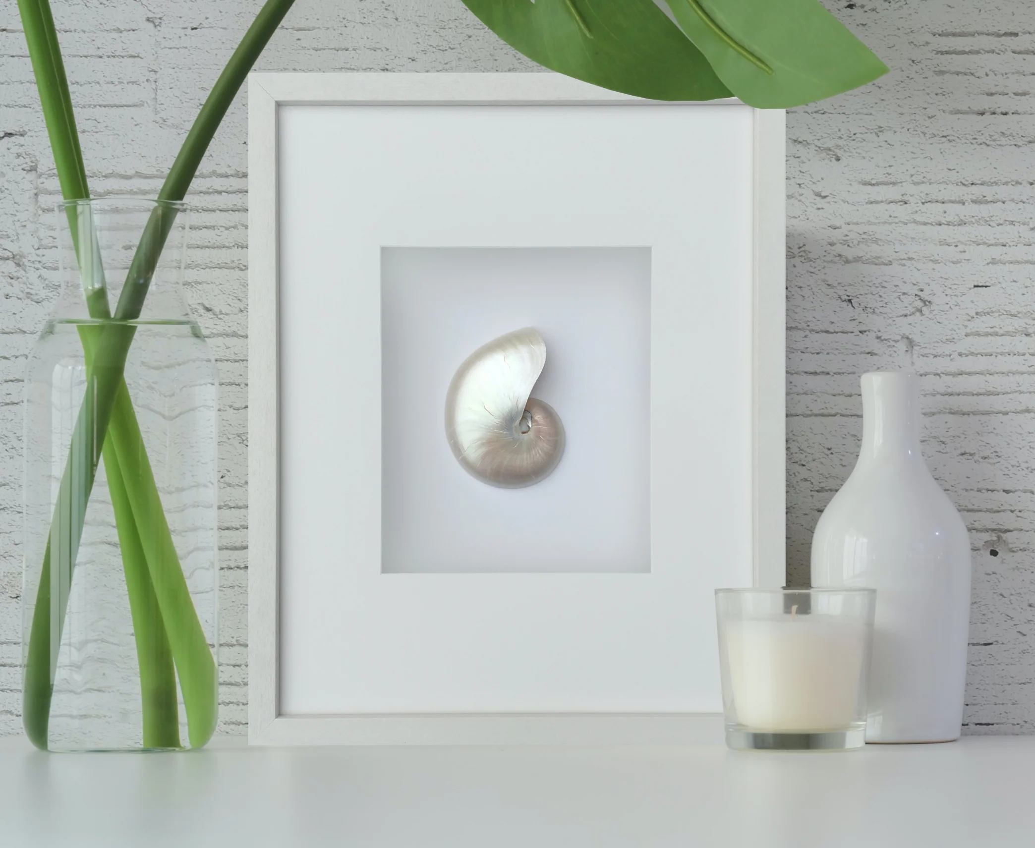 Framed Pearled Nautilus Shell Wall Art - Image 3