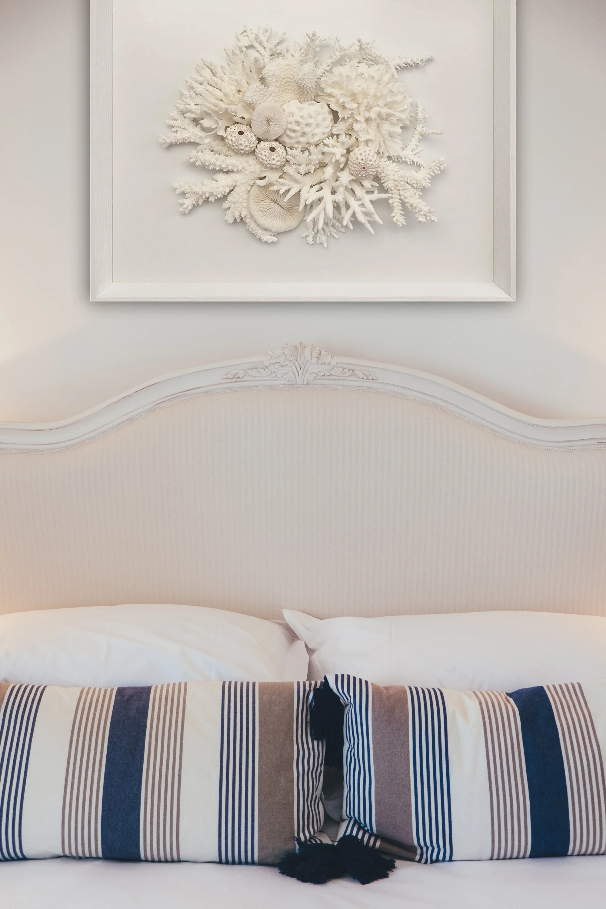 Natural Coral in White Wall Art - Image 3