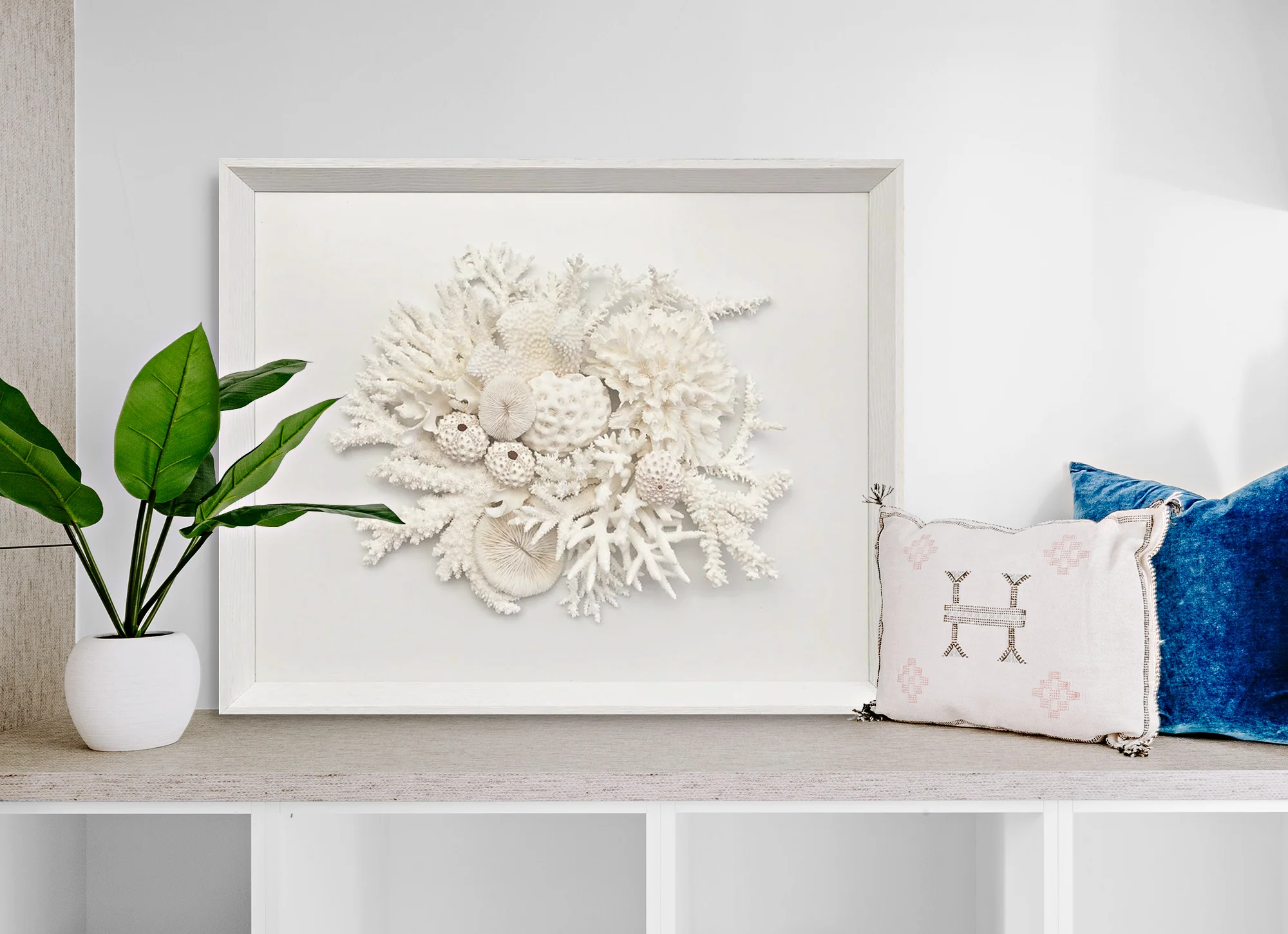 Natural Coral in White Wall Art - Image 4