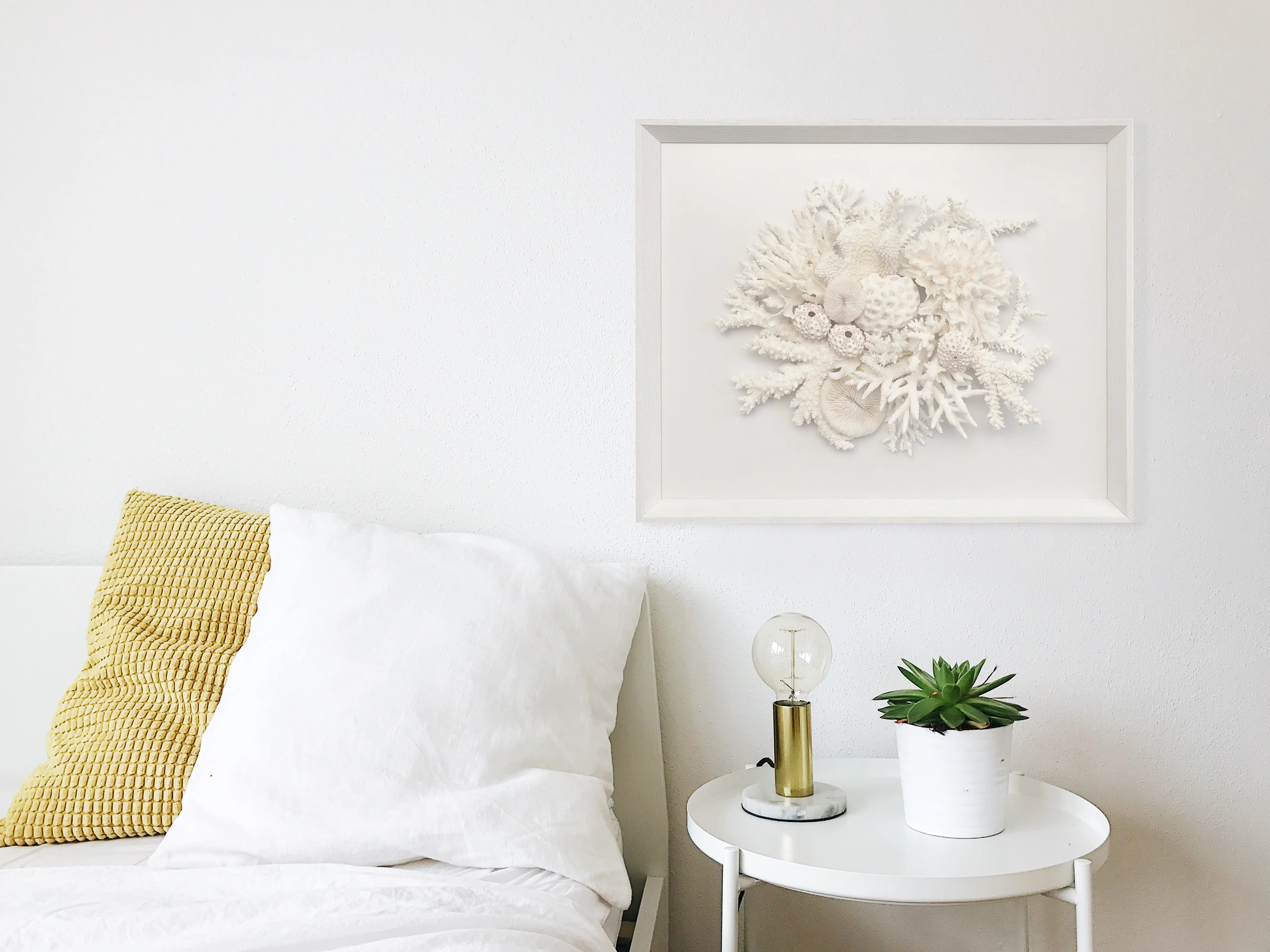 Natural Coral in White Wall Art - Image 6