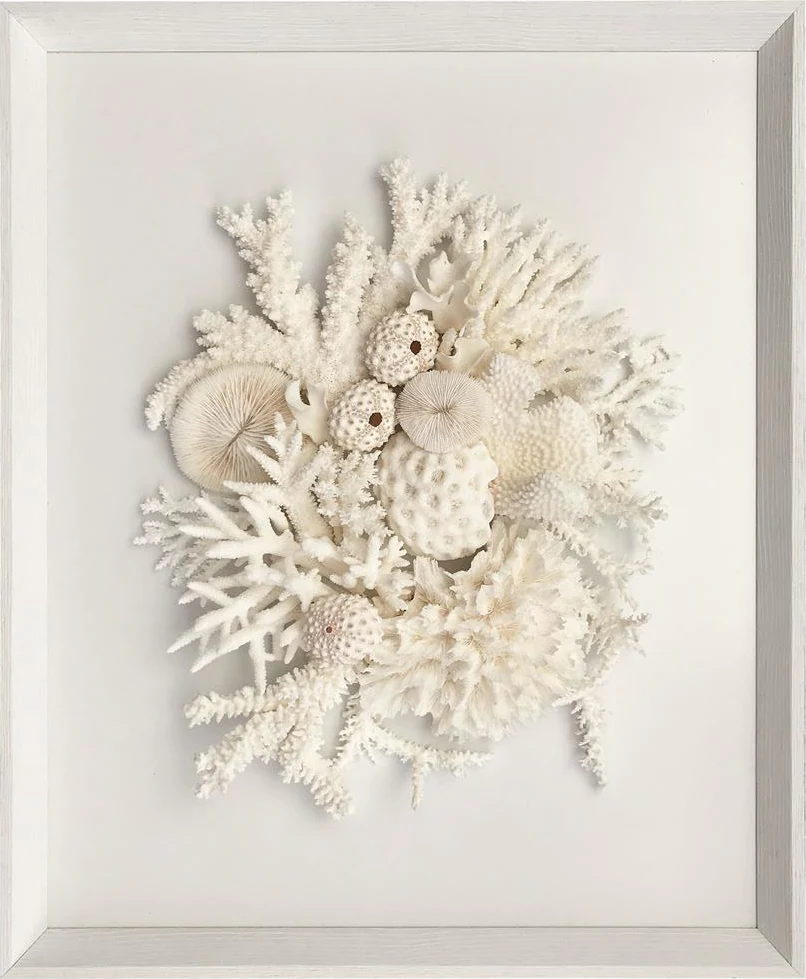 Natural Coral in White Wall Art - Image 7