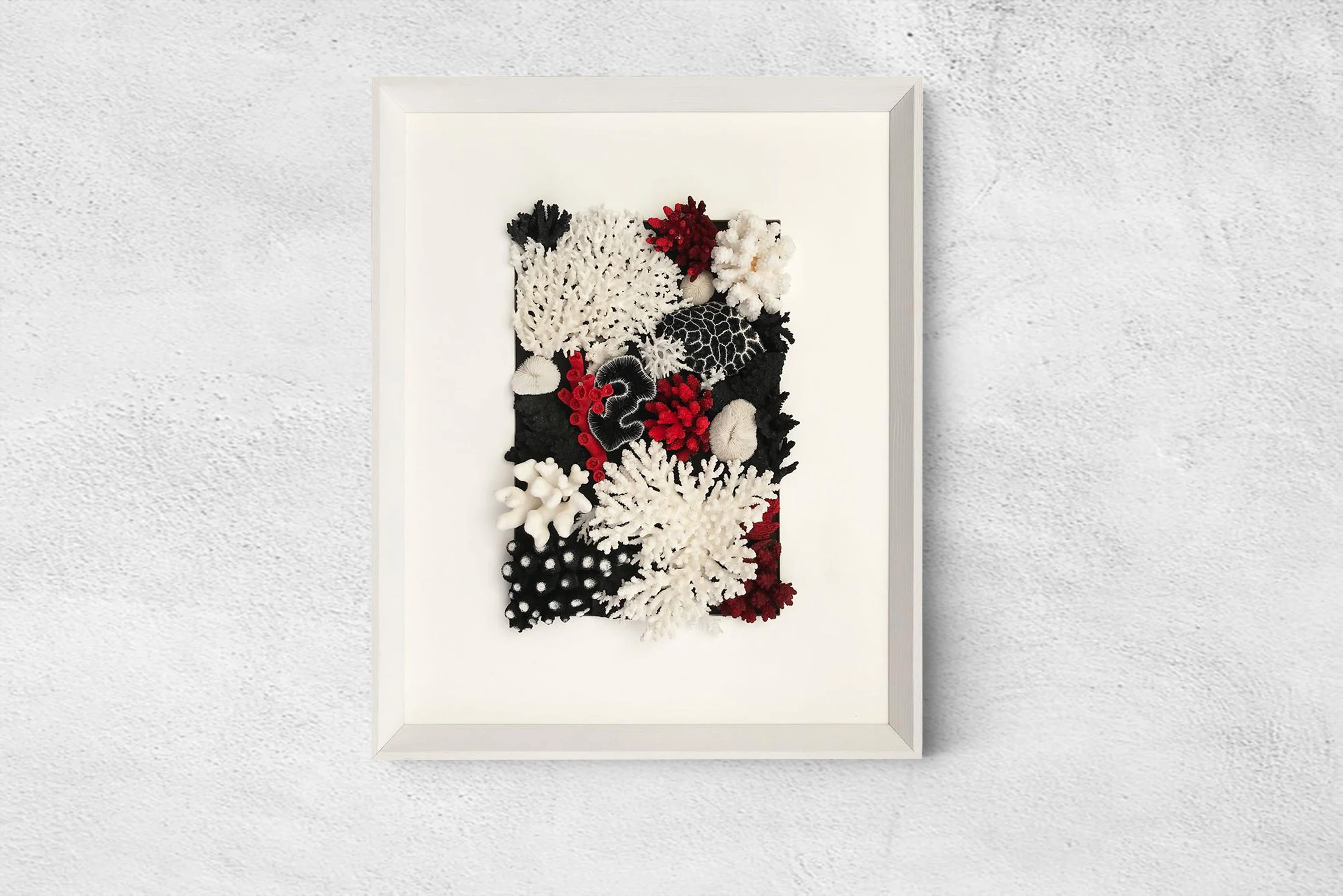 Natural Coral in Red, Black and White Wall Art - Image 5
