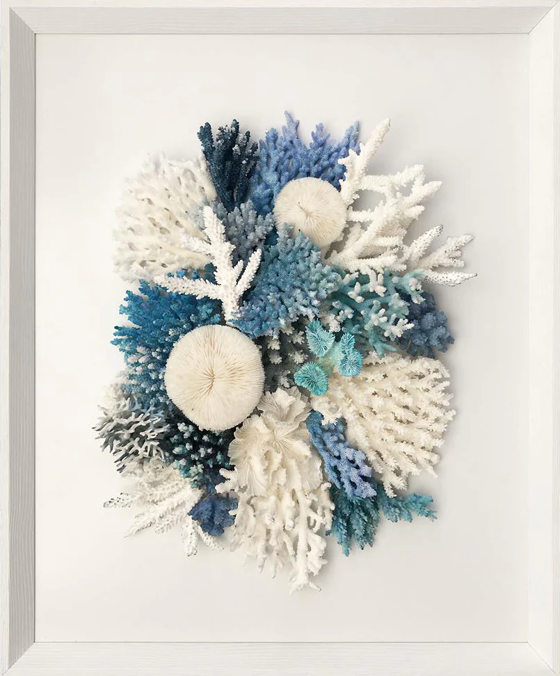 Natural Coral in Blue and White Wall Art - Image 6