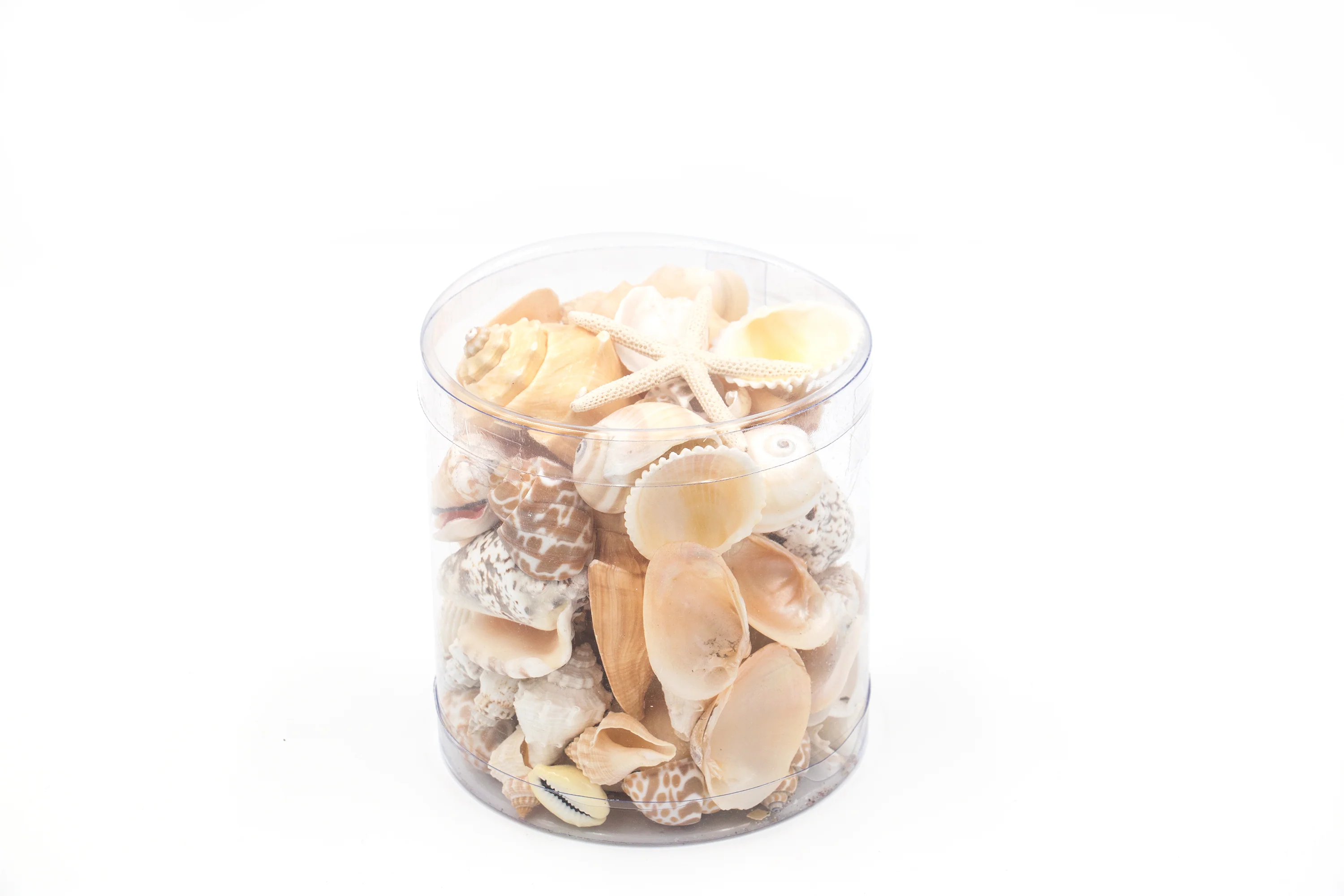 Premium Seashell Pack - Cream Sundae - Image 6