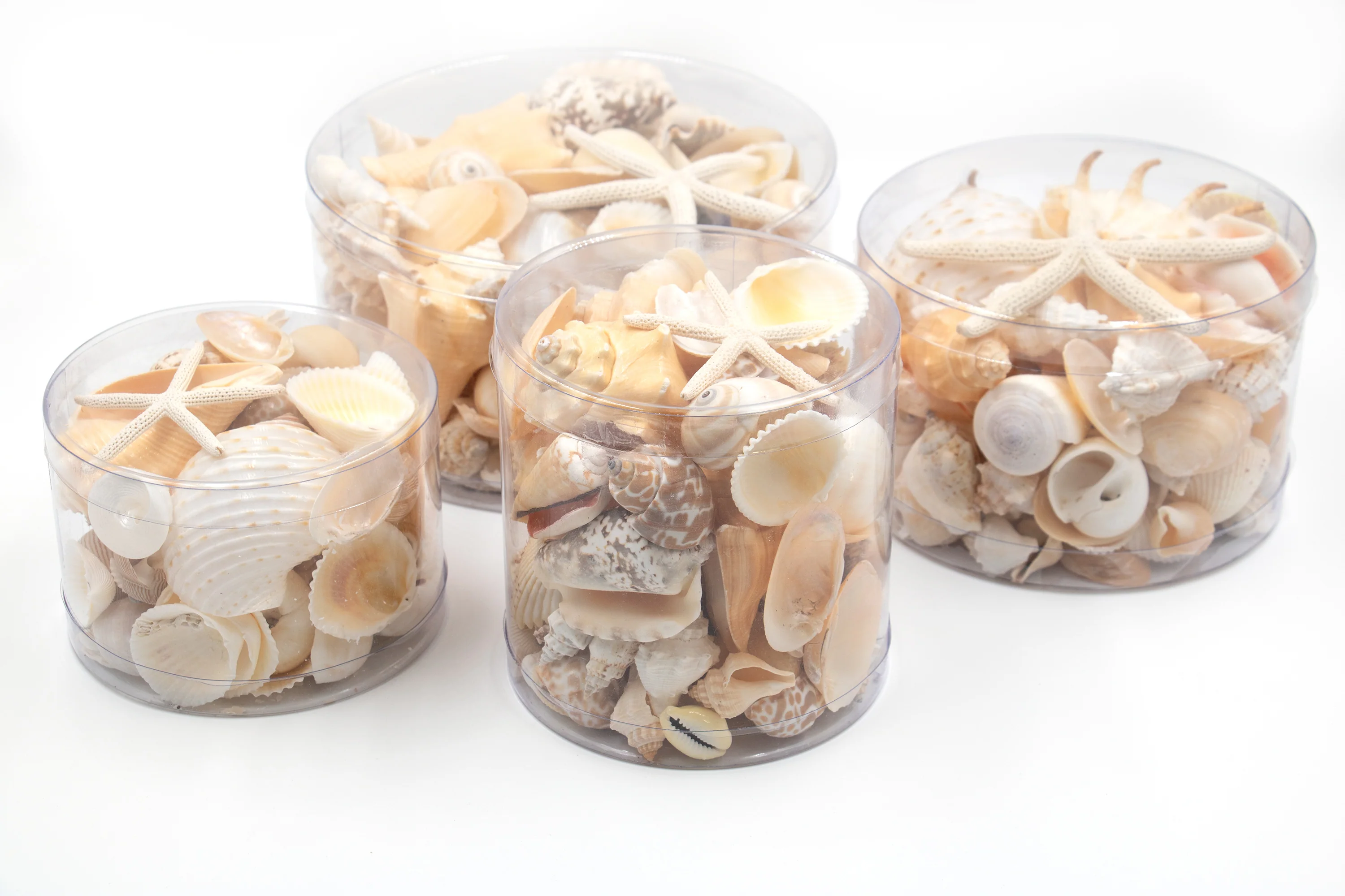 Premium Seashell Pack - Cream Sundae - Image 9