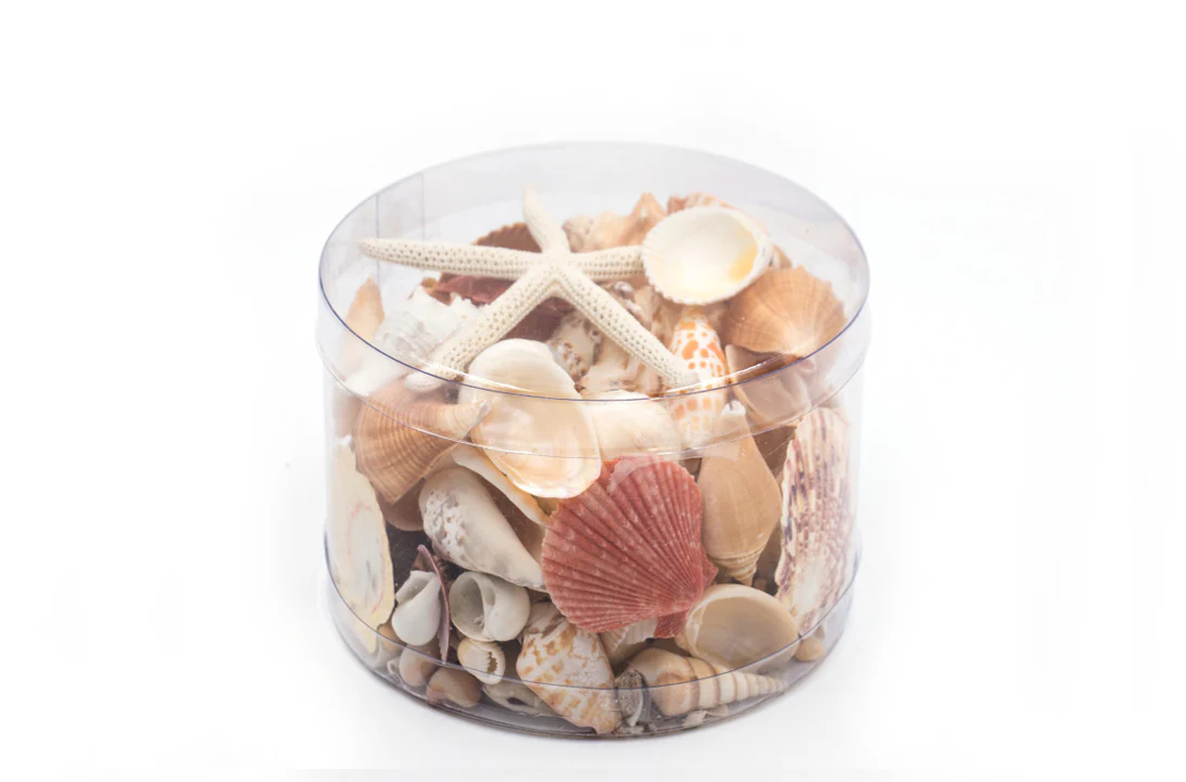 Premium Seashell Pack - Peaches and Cream - Image 5