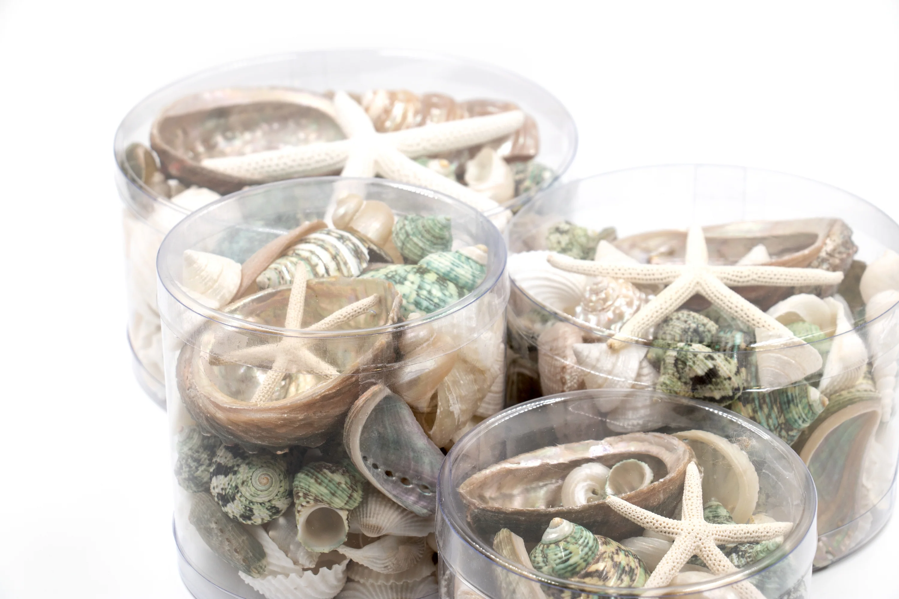 Premium Seashell Pack - Green Jade - Image 11