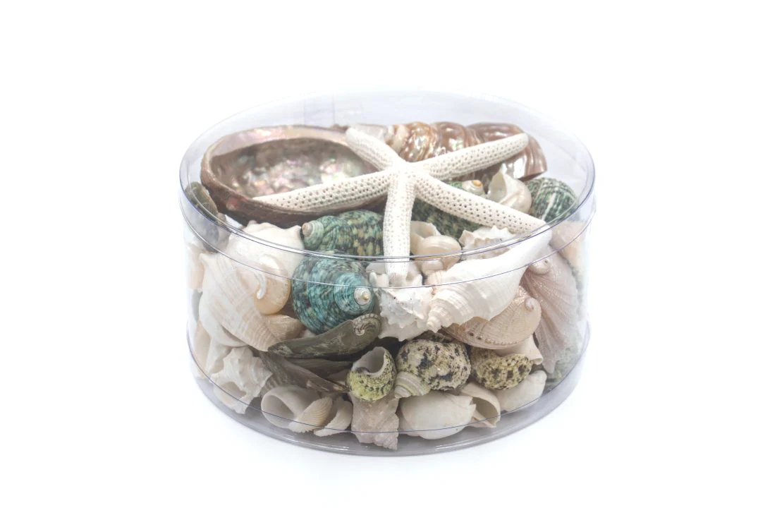 Premium Seashell Pack - Green Jade - Image 9