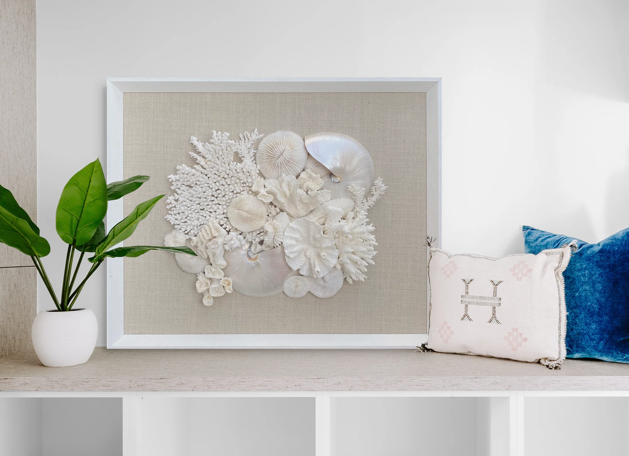 Natural Coral and Pearled Nautilus Wall Art - Image 4
