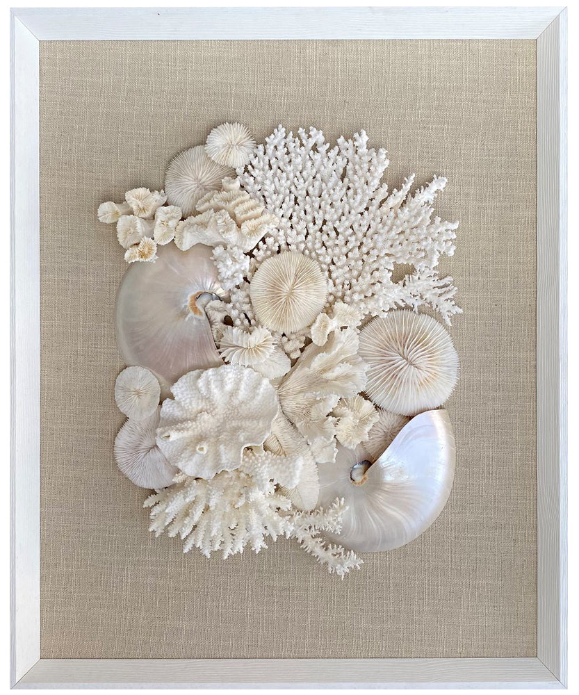 Natural Coral and Pearled Nautilus Wall Art - Image 7