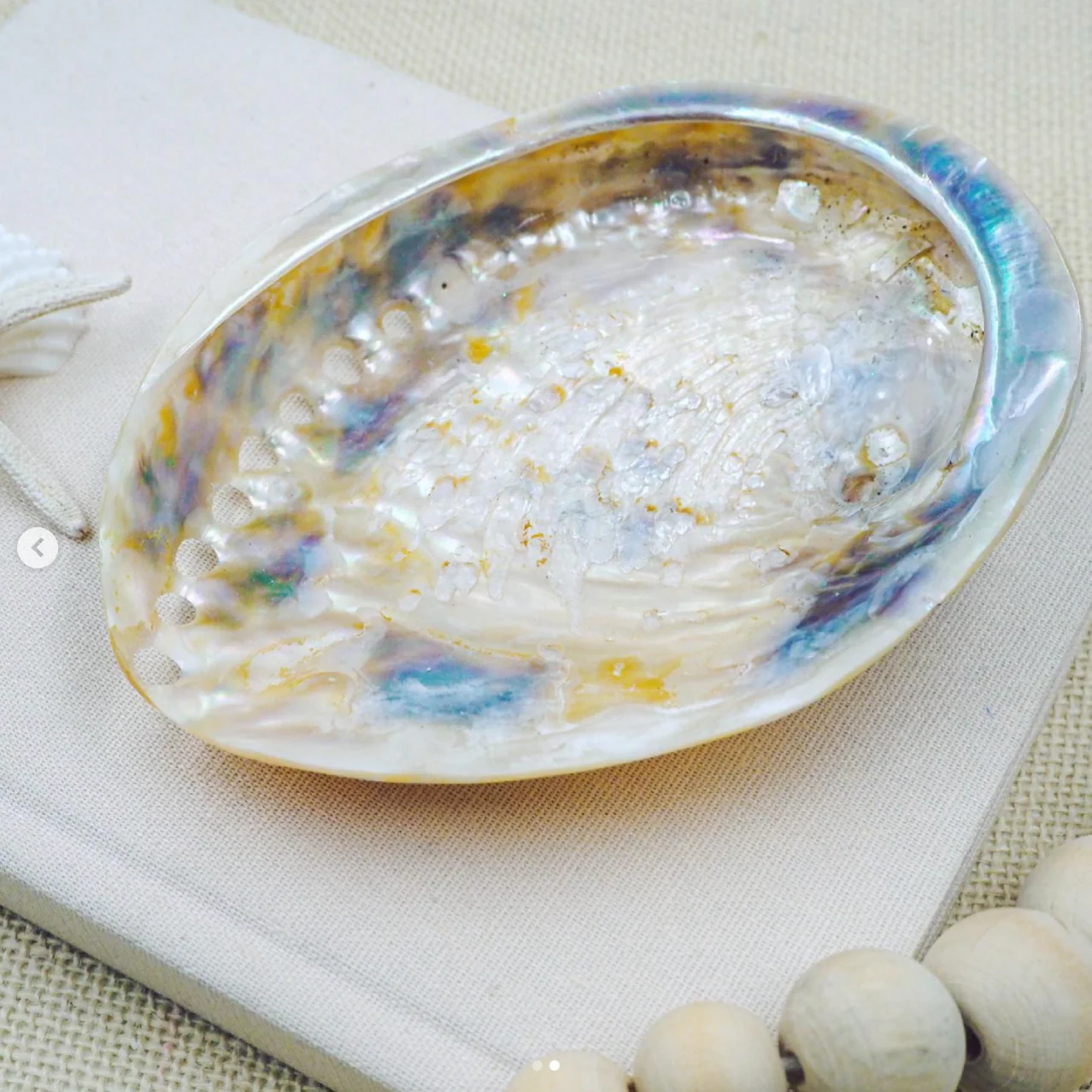 Natural Pink and Pearl White Abalone Shell - Image 2
