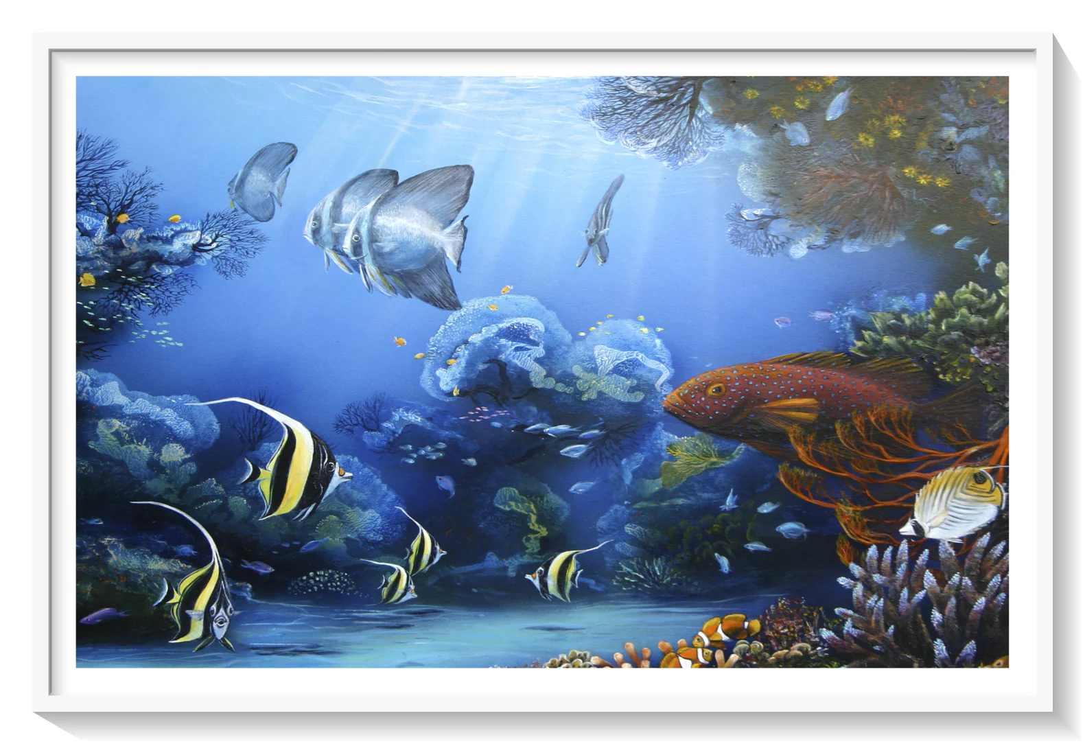 Original Coral Reef Art Print  - Hello Coral Trout - Image 10