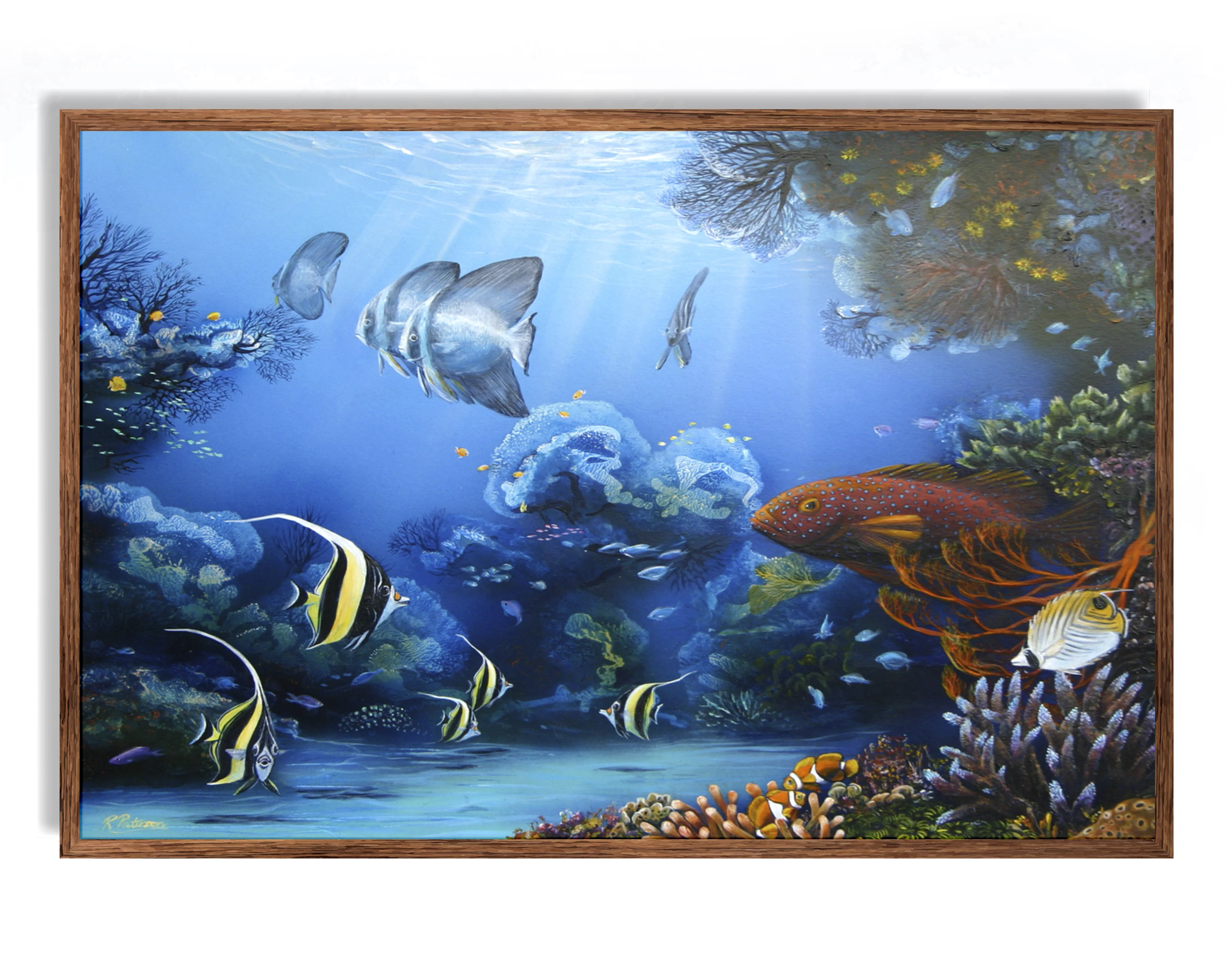 Original Coral Reef Art Print  - Hello Coral Trout - Image 12