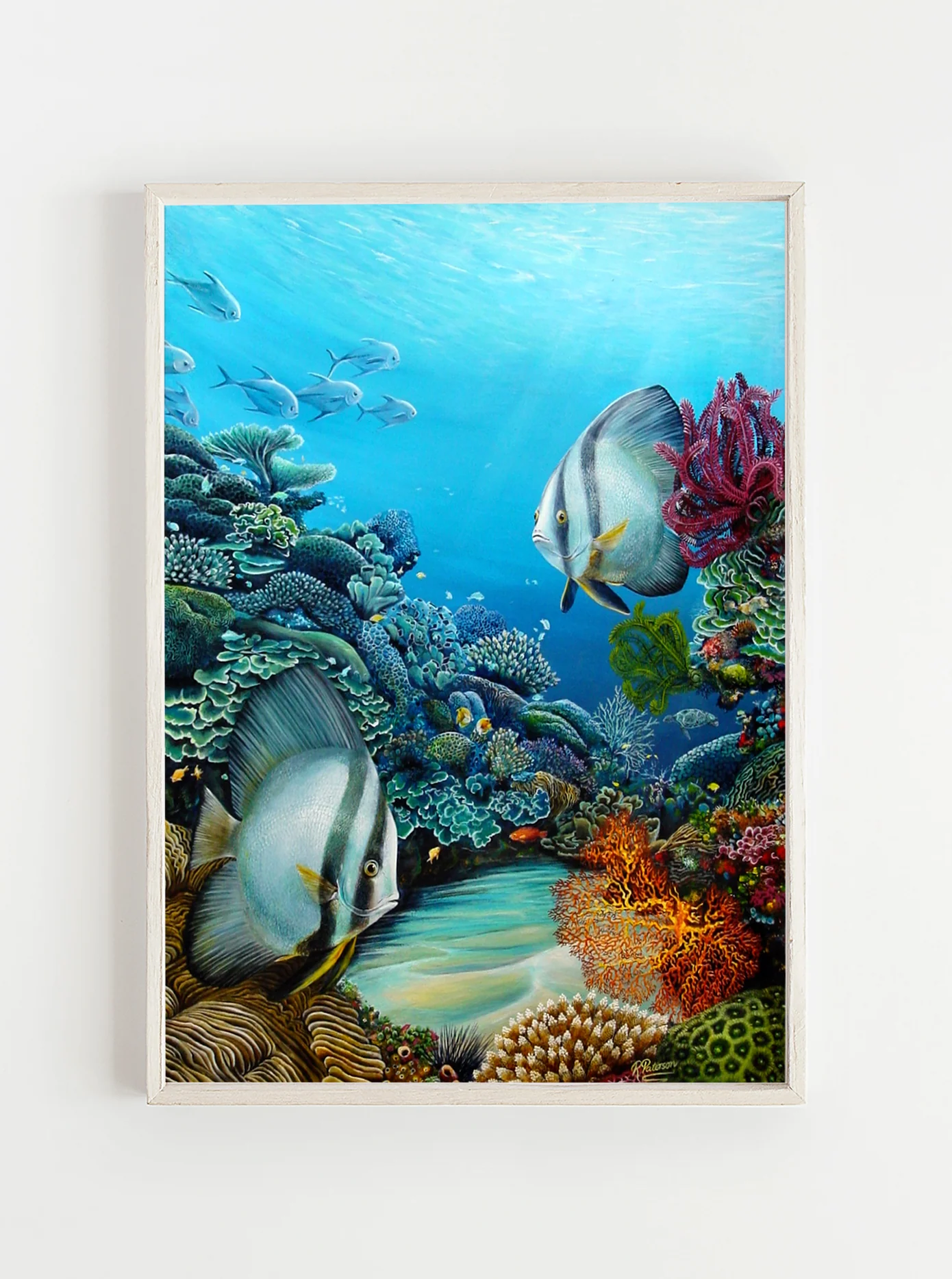 Original Coral Reef Art Print - A Little Look Around - Image 10