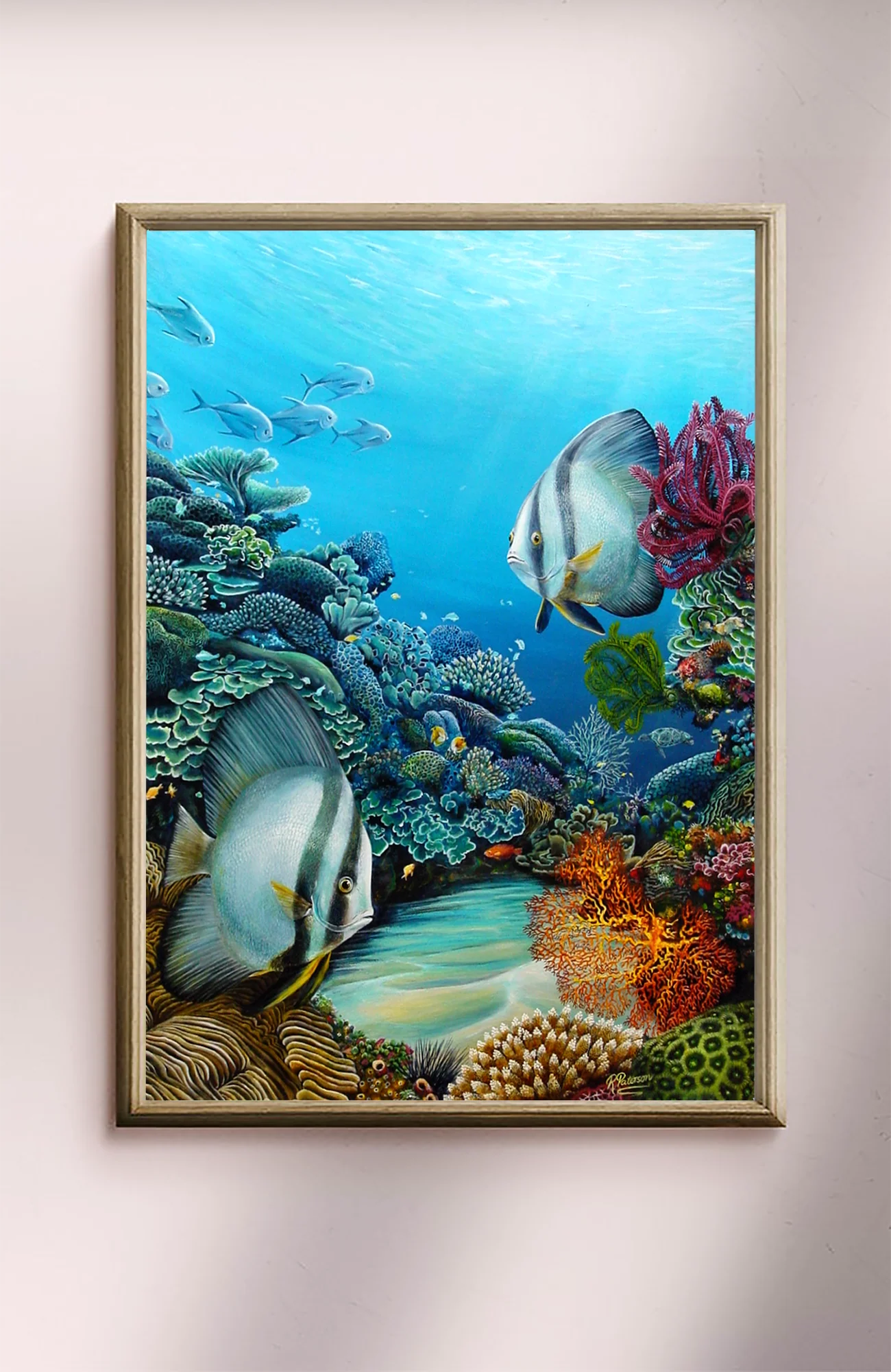 Original Coral Reef Art Print - A Little Look Around - Image 12