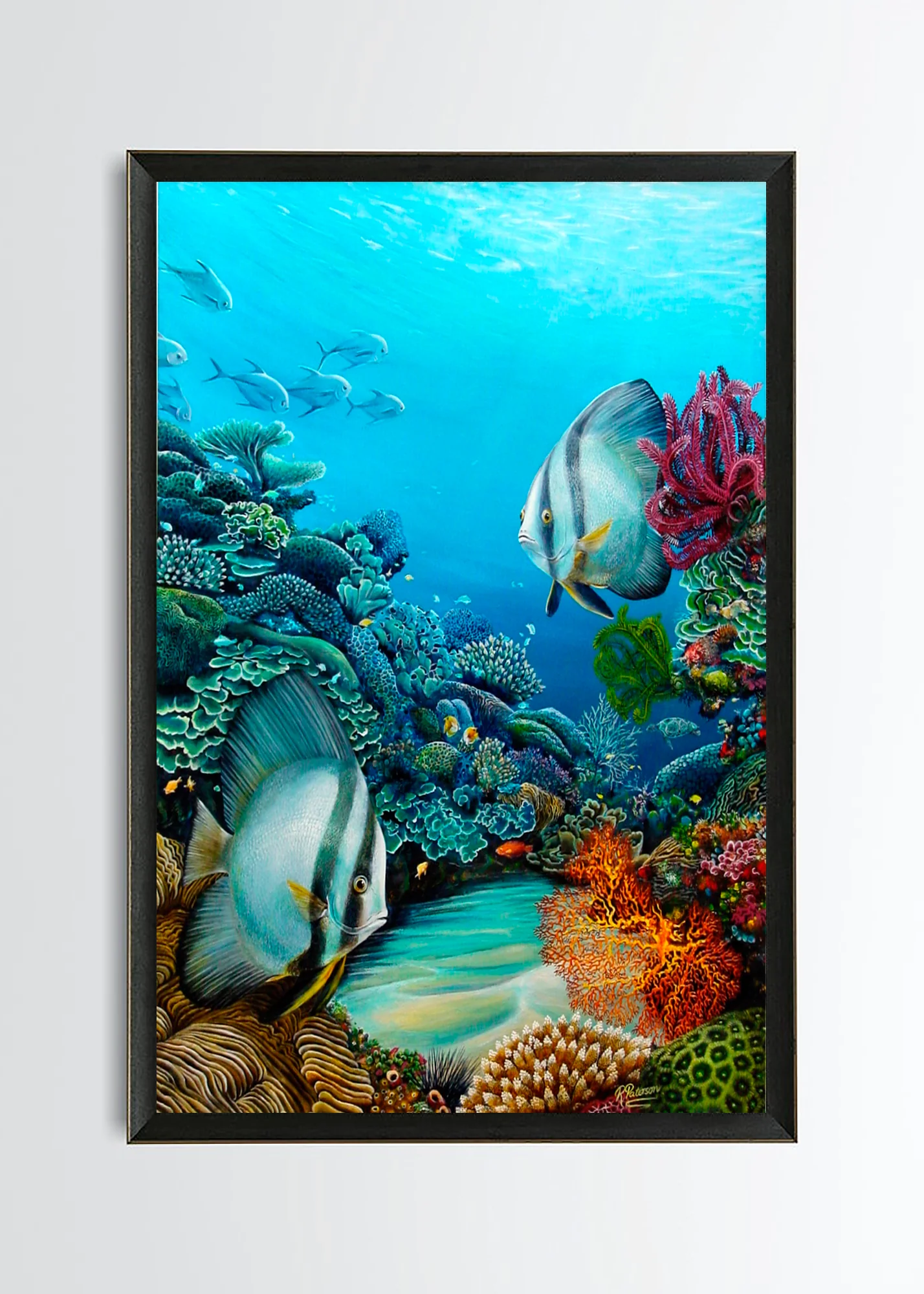 Original Coral Reef Art Print - A Little Look Around - Image 4