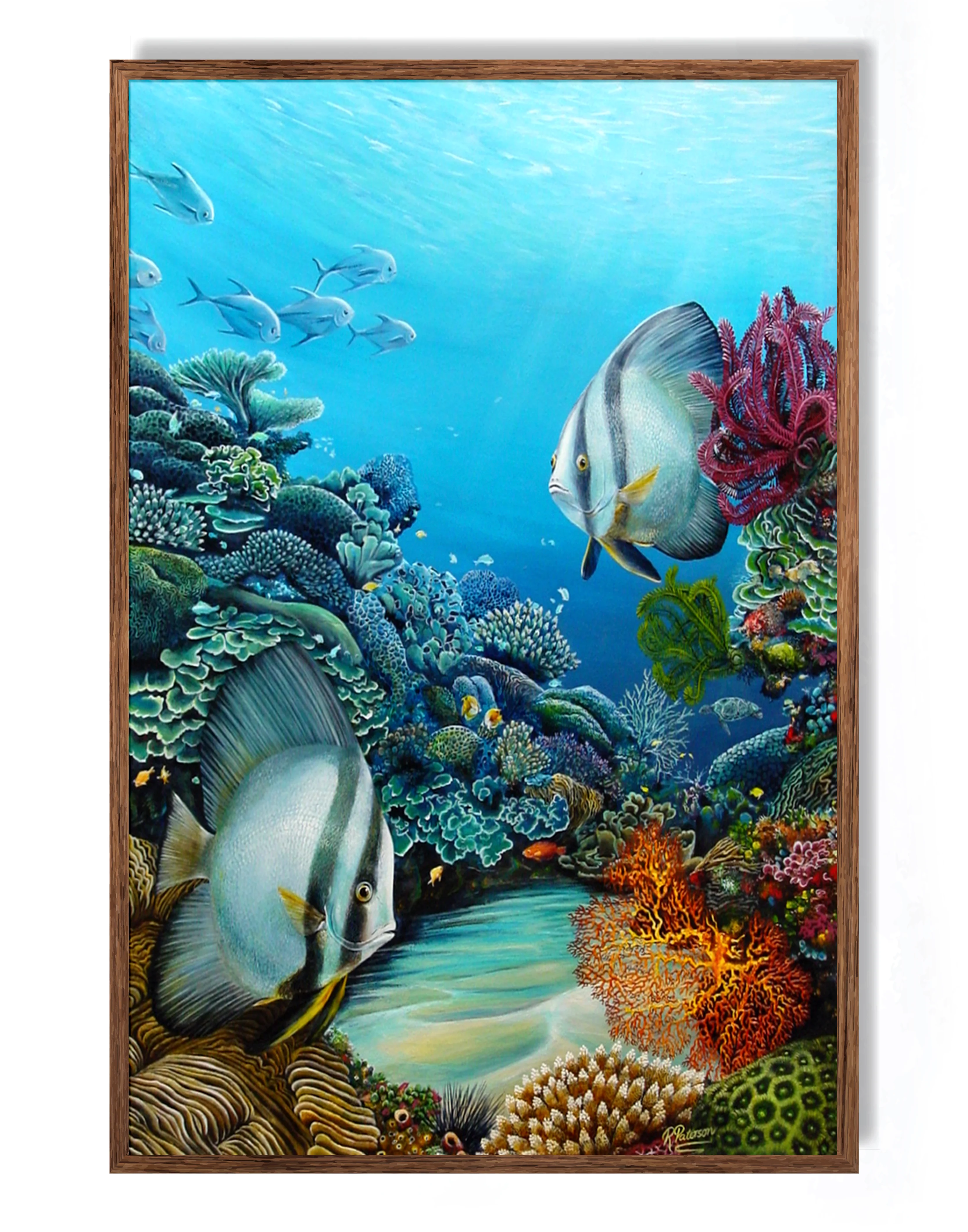 Original Coral Reef Art Print - A Little Look Around - Image 5