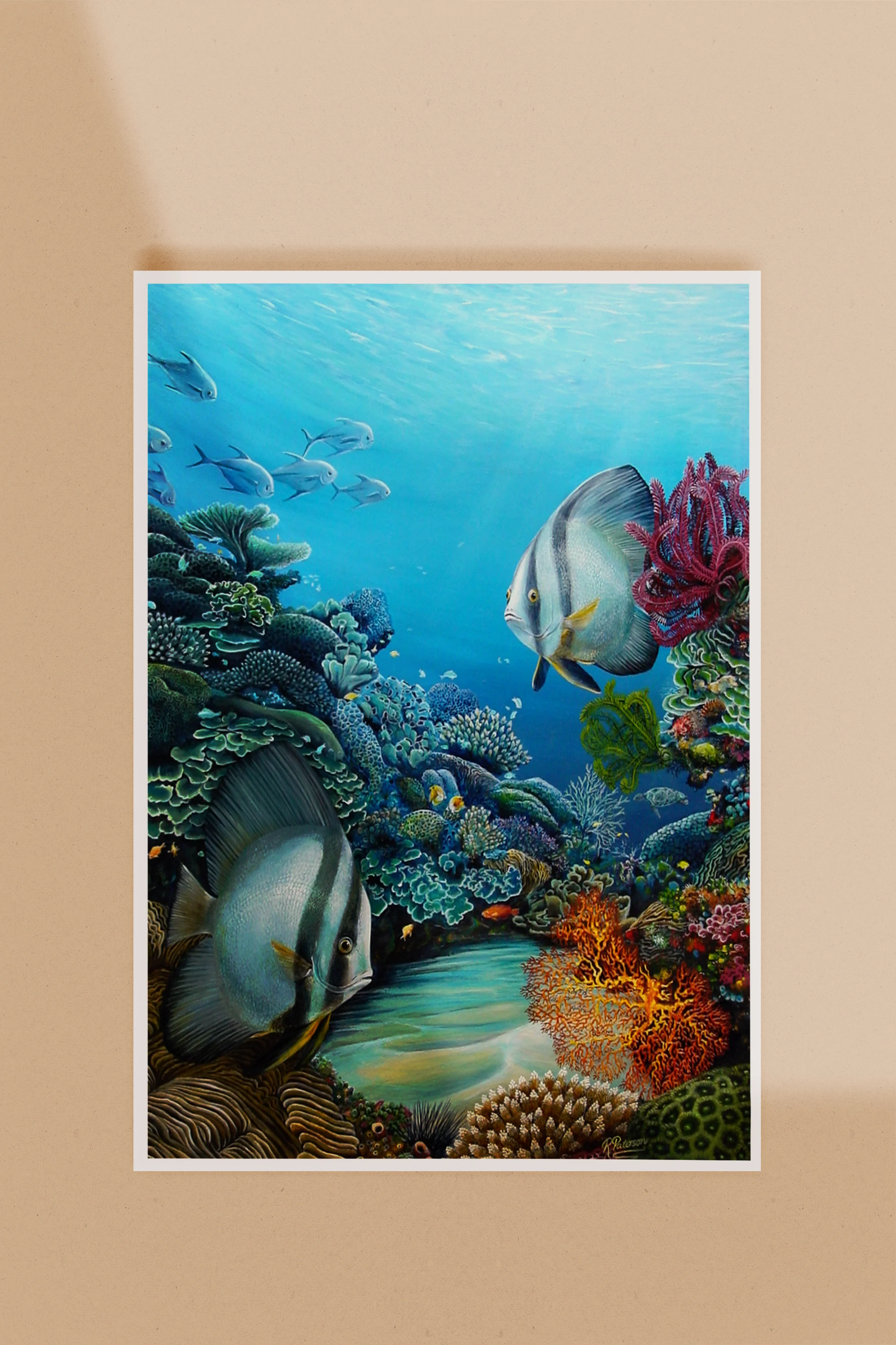 Original Coral Reef Art Print - A Little Look Around - Image 7
