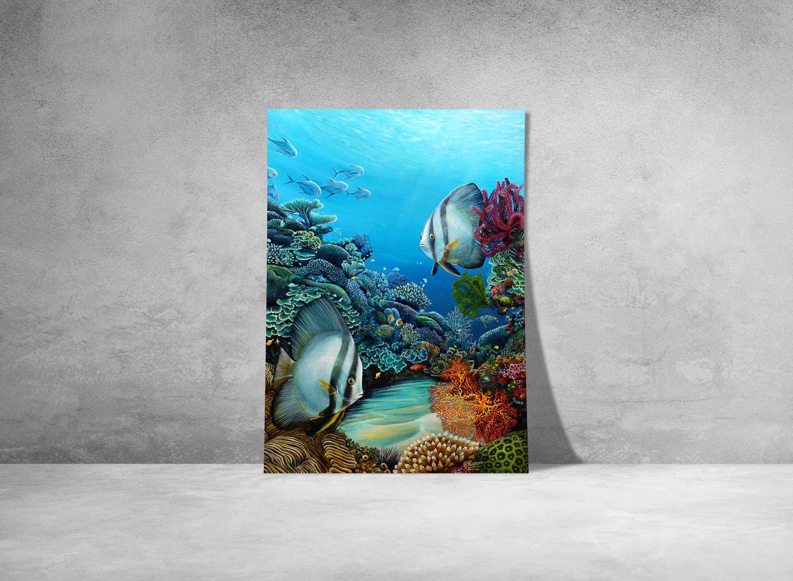 Original Coral Reef Art Print - A Little Look Around - Image 8
