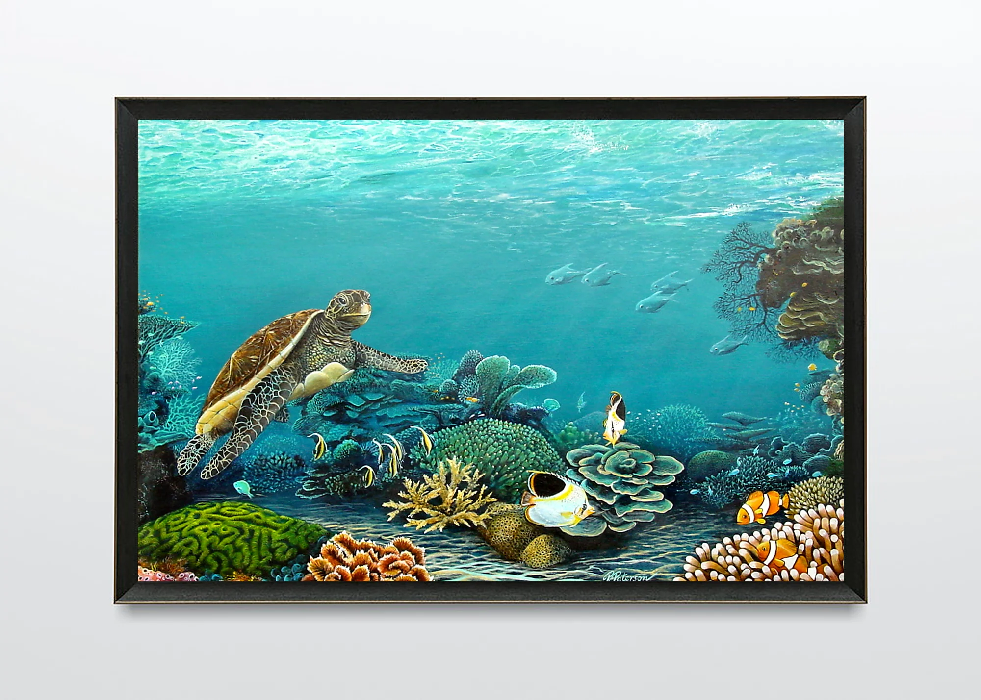 Original Coral Reef Art Print - Gracious Turtle - Image 4