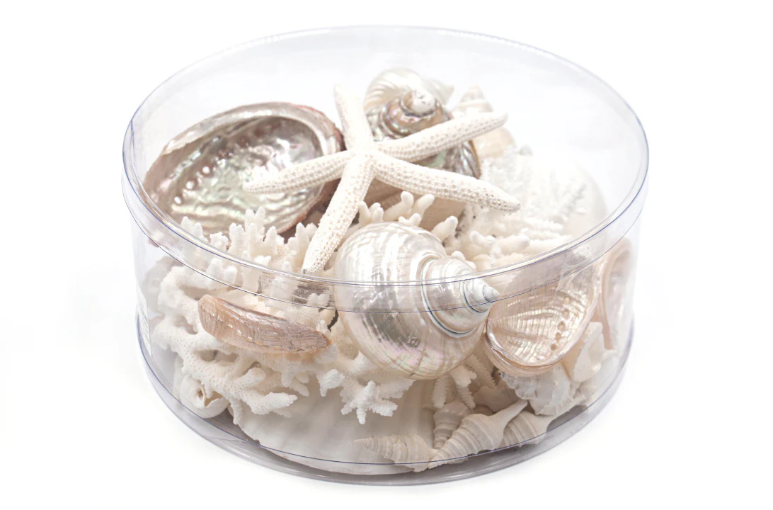 Premium Coral and Seashell Pack - Pearl Champagne - Image 5