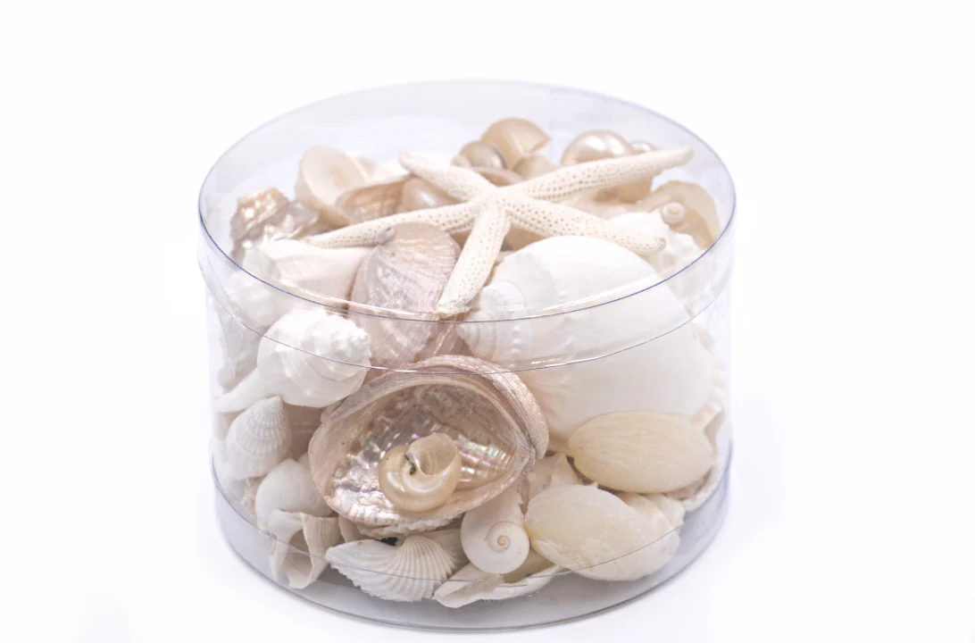 Premium Seashell Pack - Pearl Champagne - Image 10