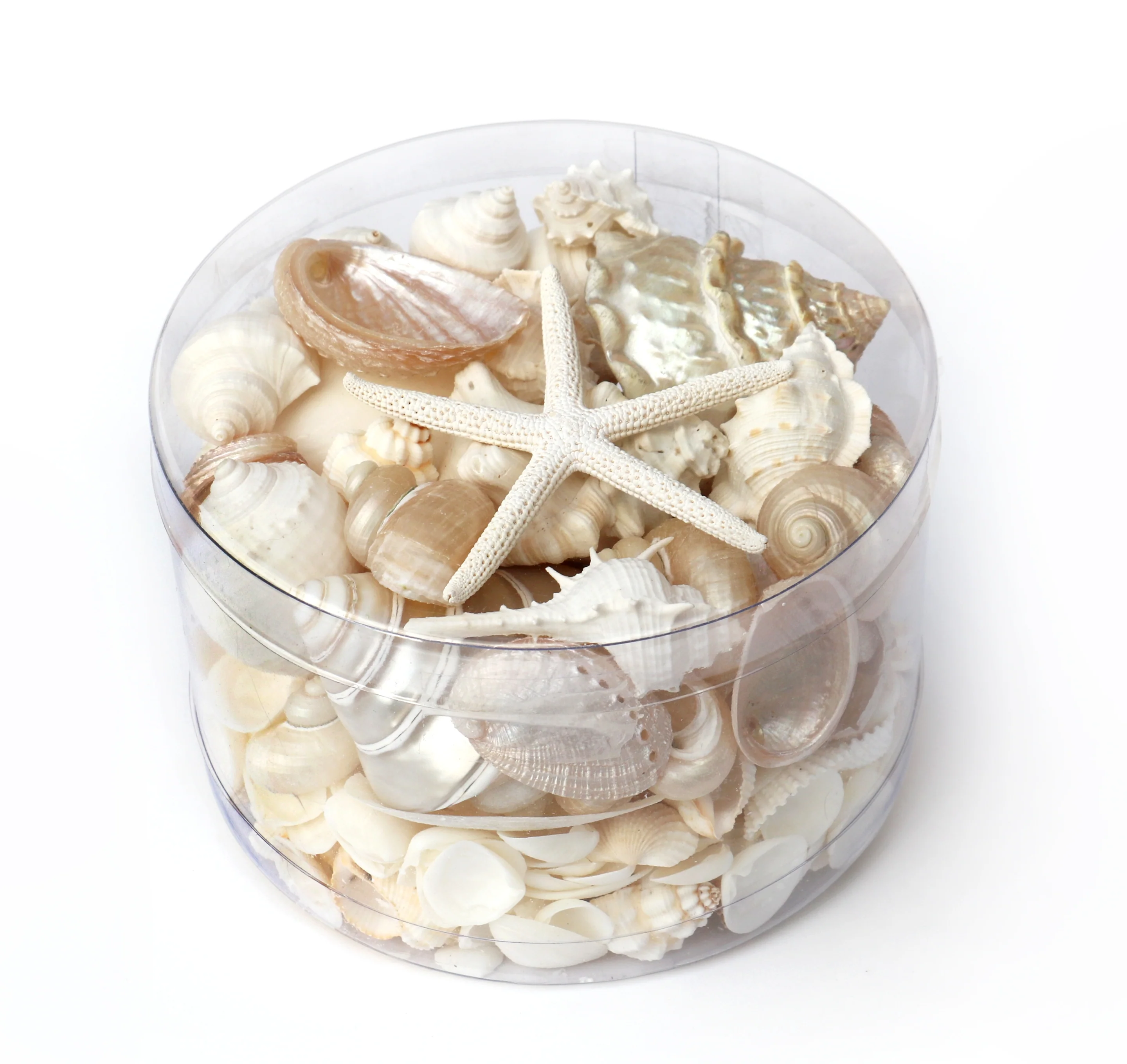 Premium Seashell Pack - Pearl Champagne - Image 3