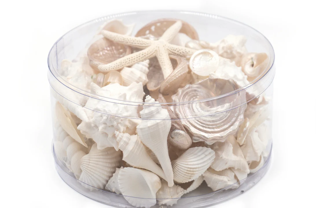 Premium Seashell Pack - Pearl Champagne - Image 7