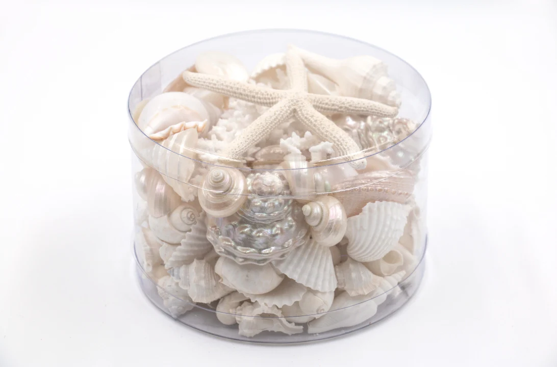 Premium Seashell Pack - Pearl Champagne - Image 9