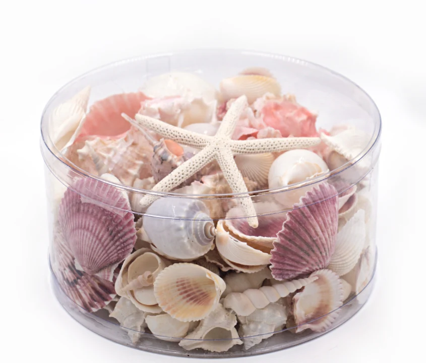 Premium Seashell Pack - Pink Glory - Image 11