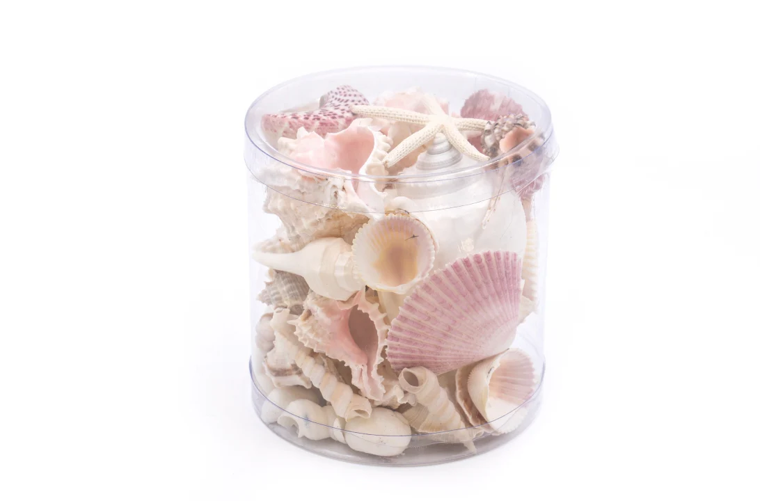 Premium Seashell Pack - Pink Glory - Image 7
