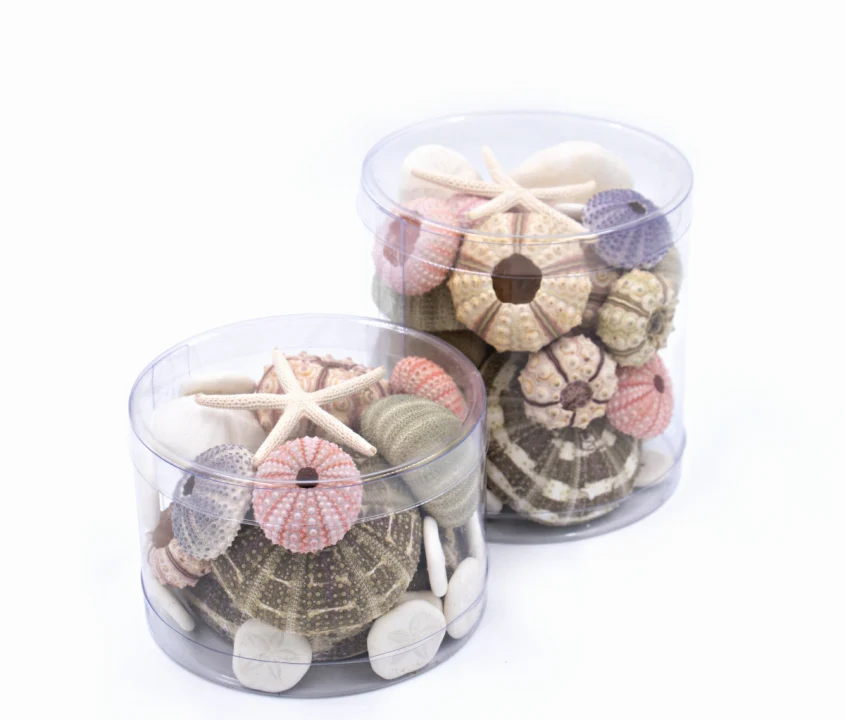 Premium Mixed Sea Urchin Pack - Image 3