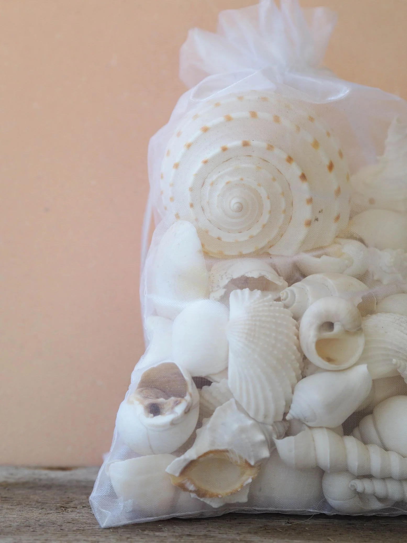 Premium Seashell Organza Gift Bag - White Whisper - Image 2