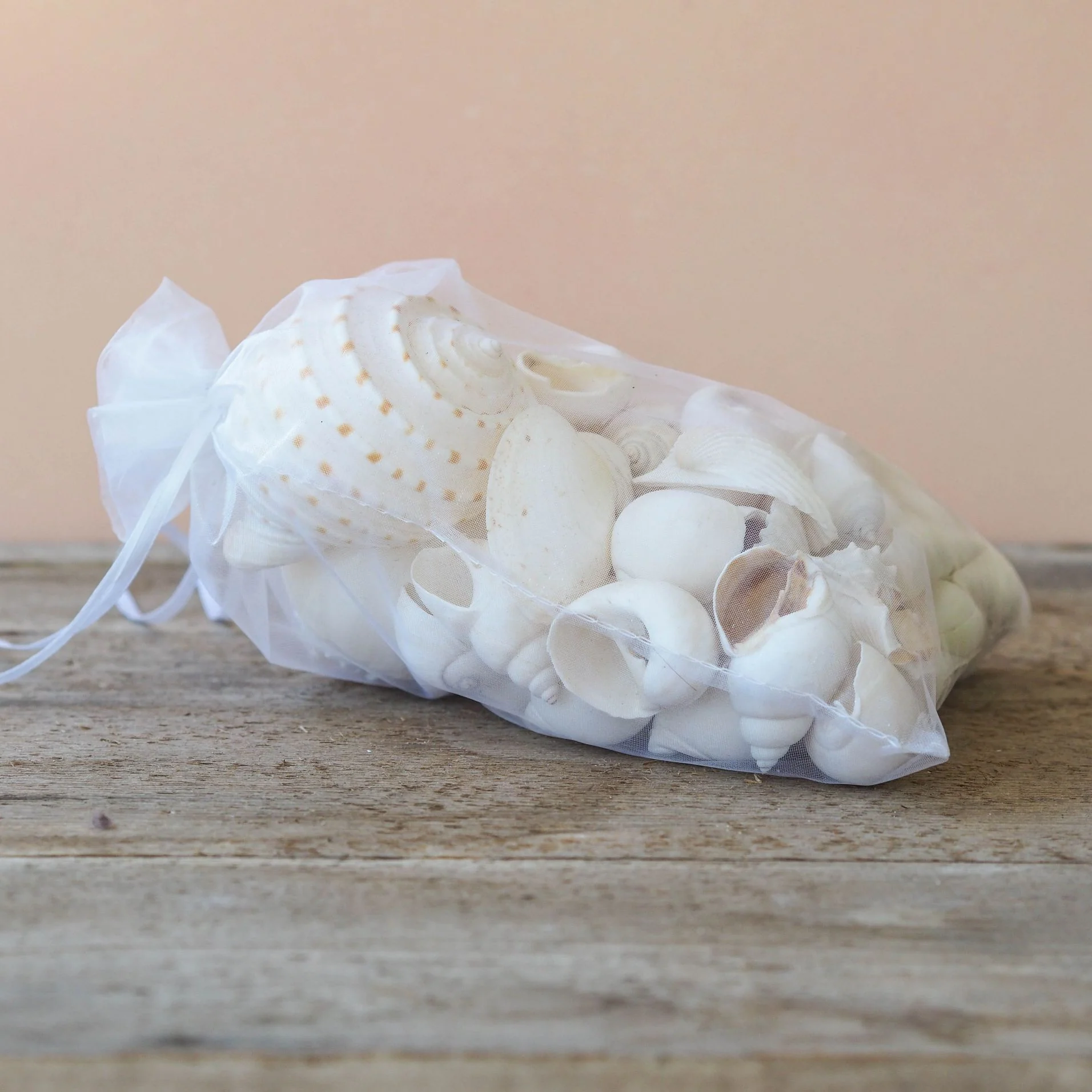 Premium Seashell Organza Gift Bag - White Whisper - Image 5