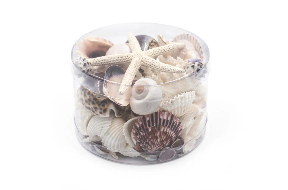 Premium Coral and Seashell Pack - Purple Paris - Image 4