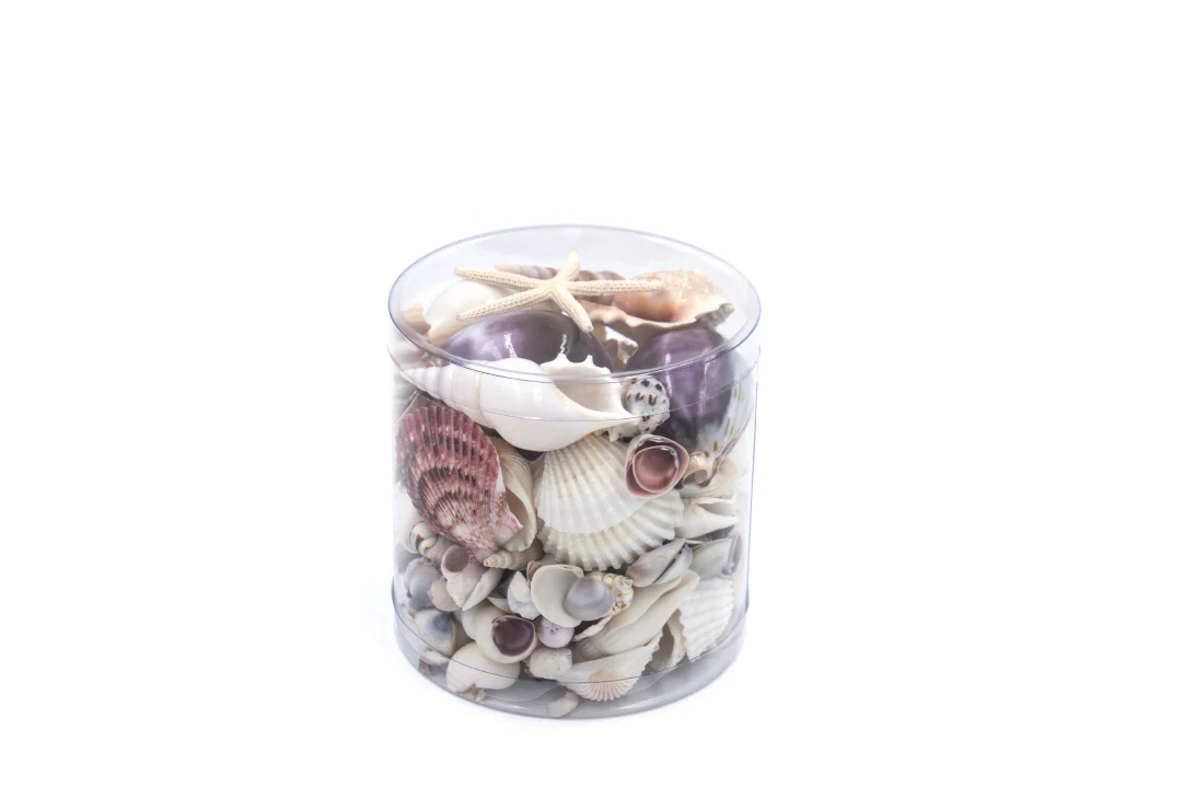 Premium Seashell Pack - Purple Paris - Image 6