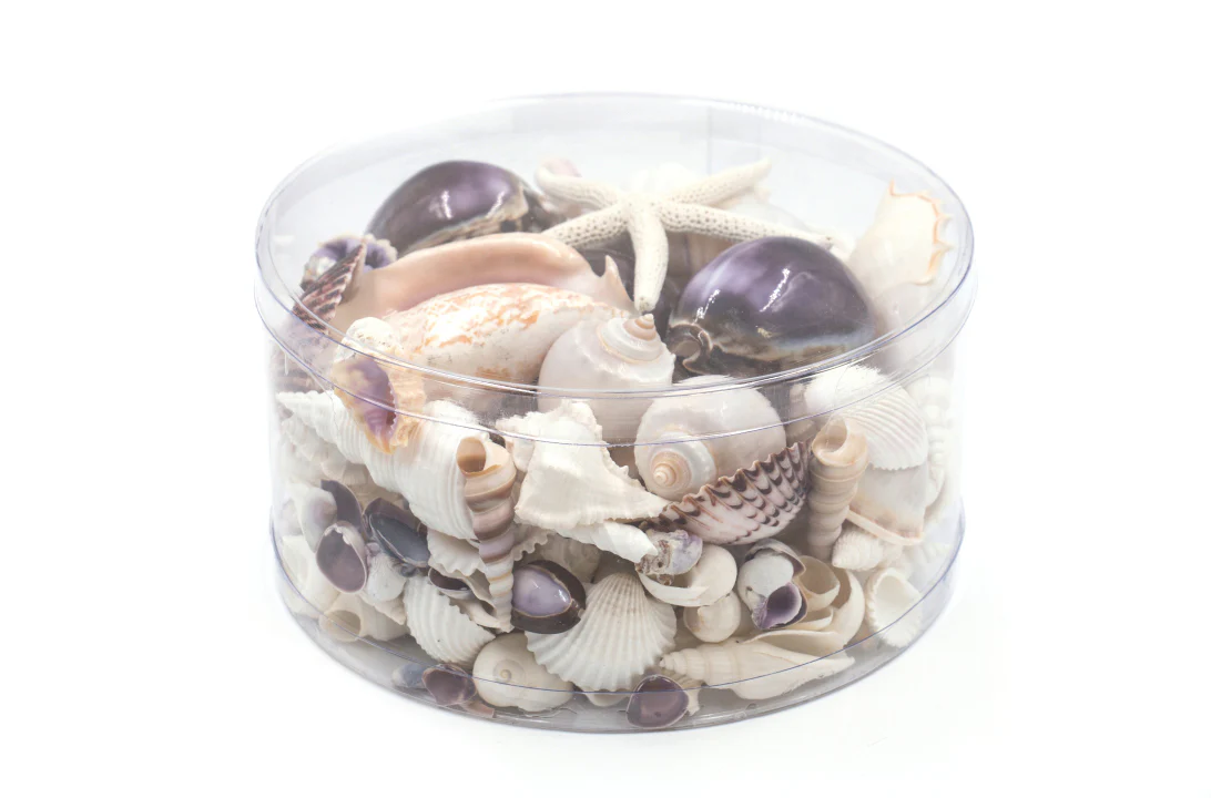 Premium Seashell Pack - Purple Paris - Image 8