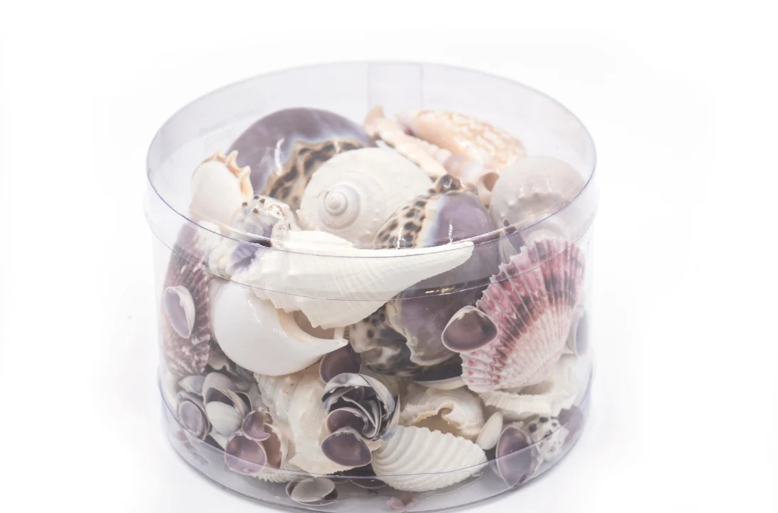 Premium Seashell Pack - Purple Paris - Image 9