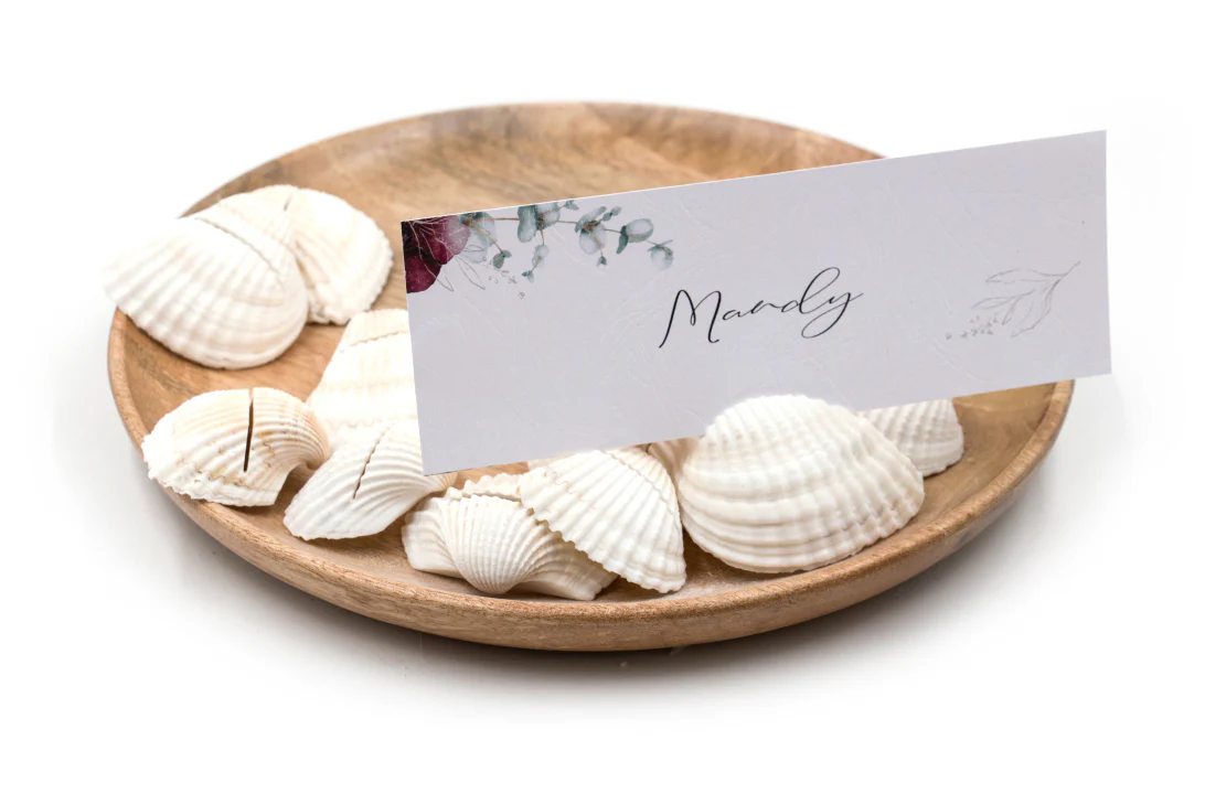 White Cockle Shell Place Card Holders - Image 3
