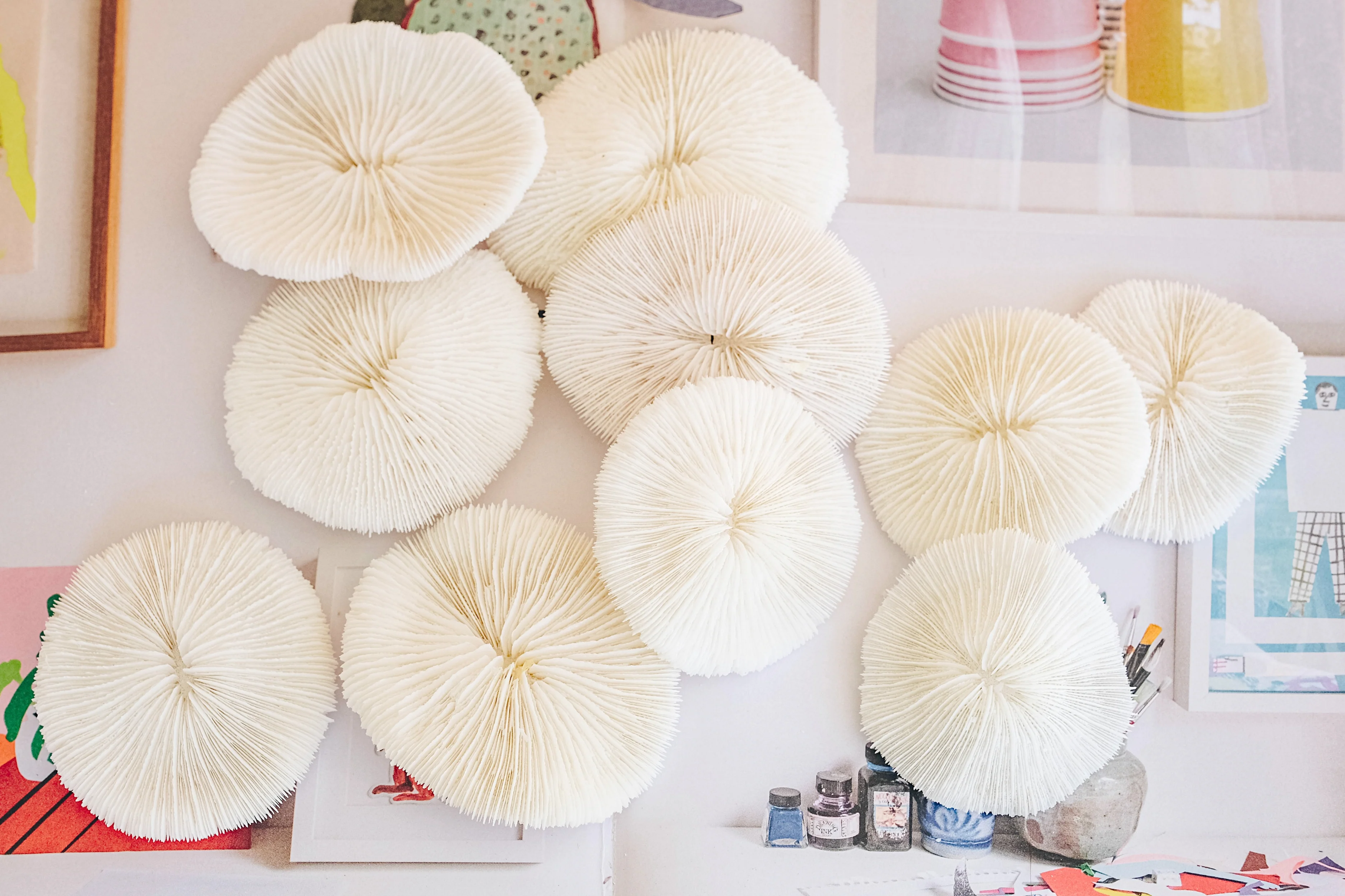 Premium Decor Mushroom Coral - Fungia - Image 3