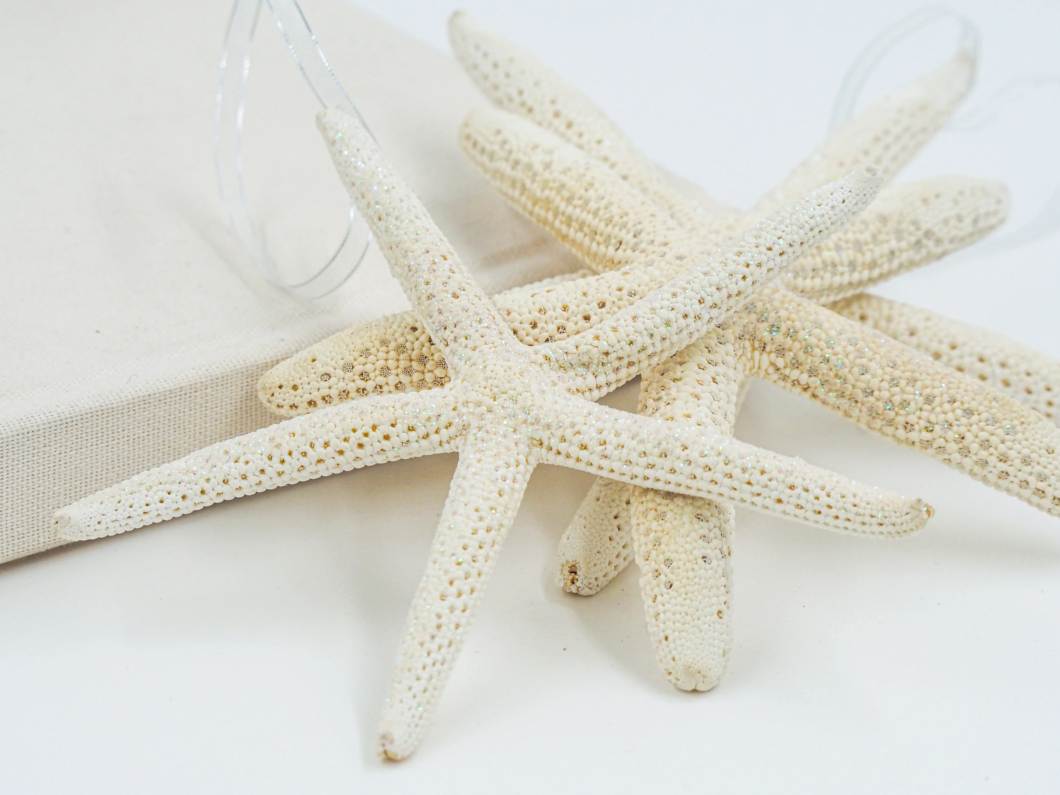Glitter Starfish - Creamy White - Image 3
