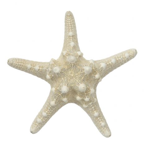 Thorny Starfish - Natural Beige - Image 3