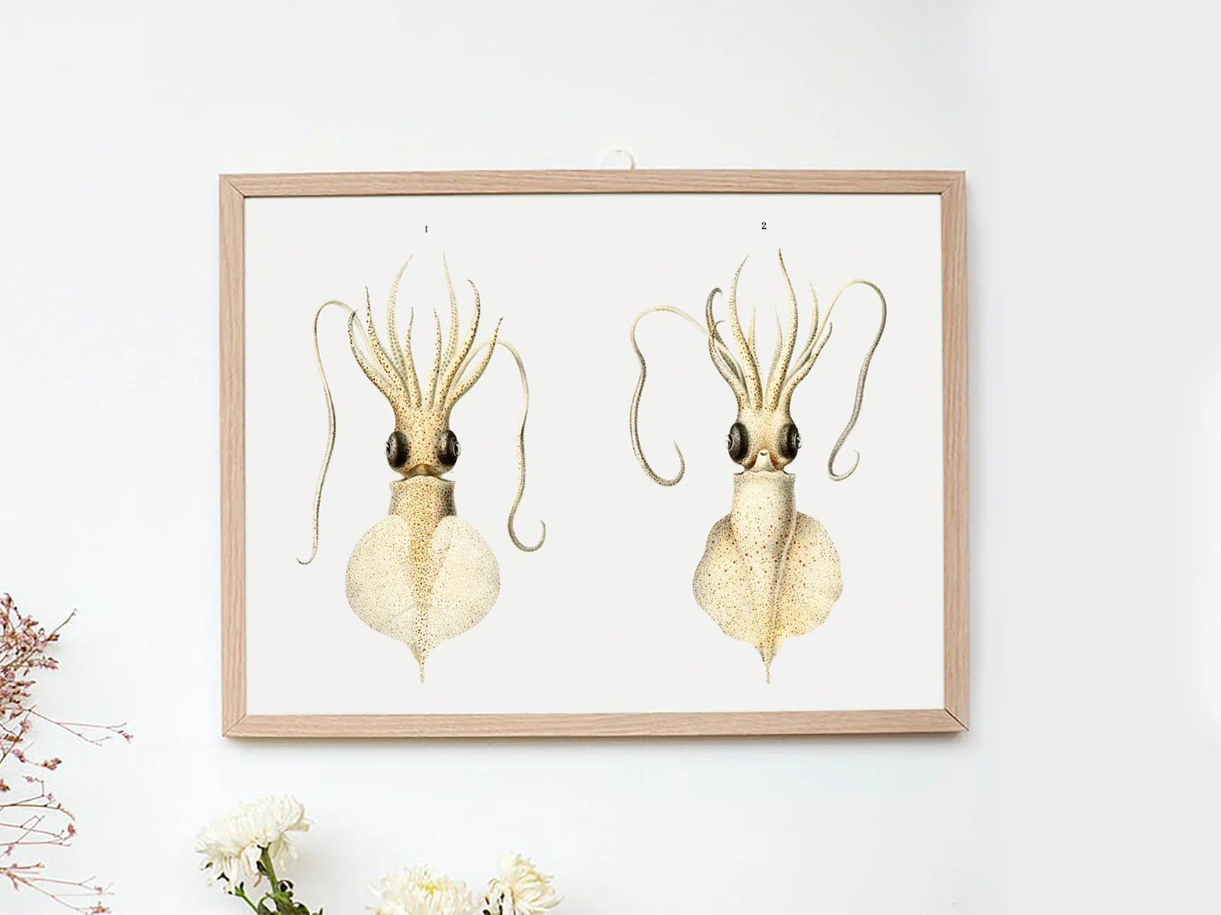 Vintage Wall Art - Love Heart Squid Scientific Illustration - Image 9