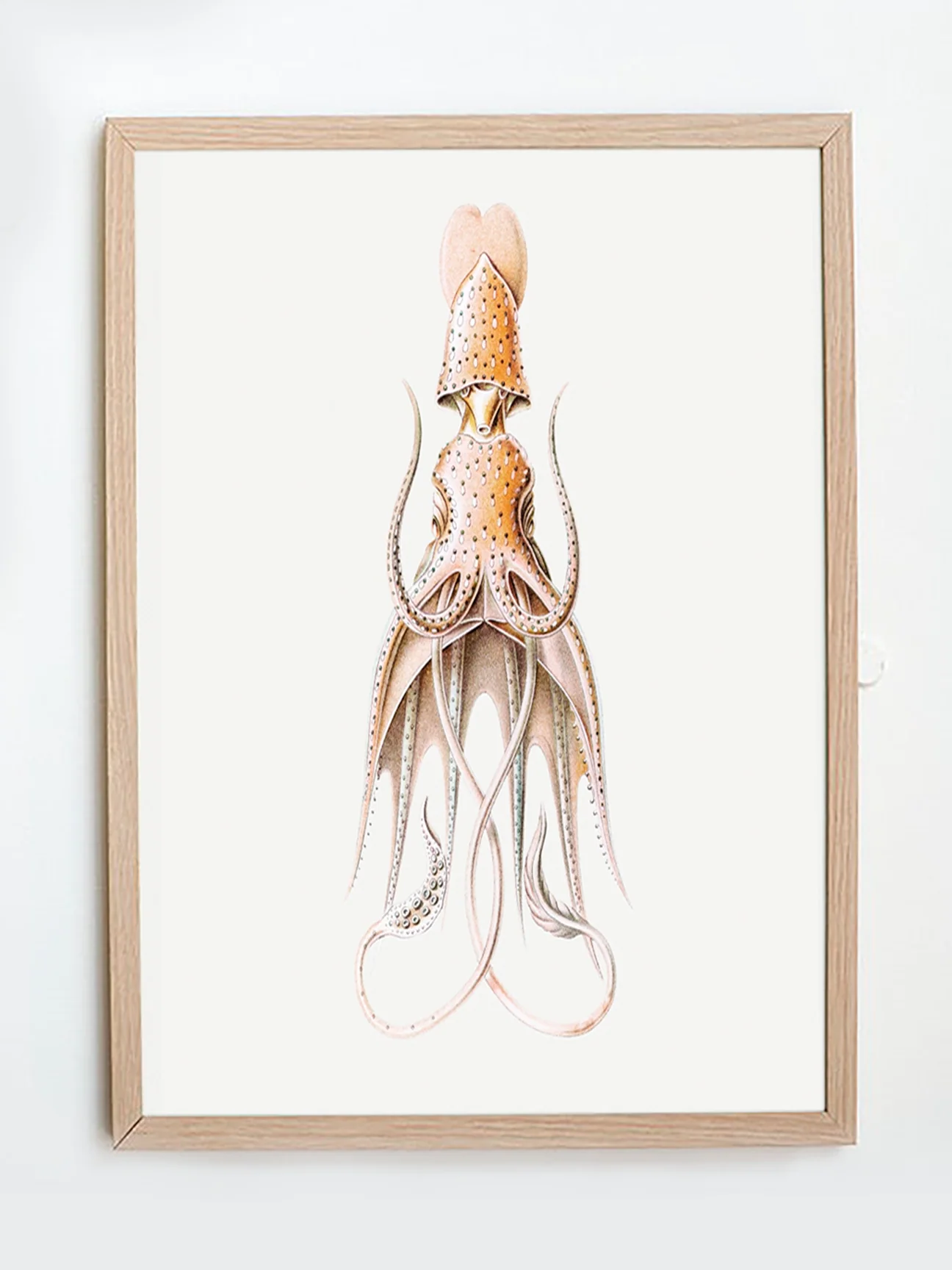 Vintage Wall Art - Squid Illustration Print I - Image 4