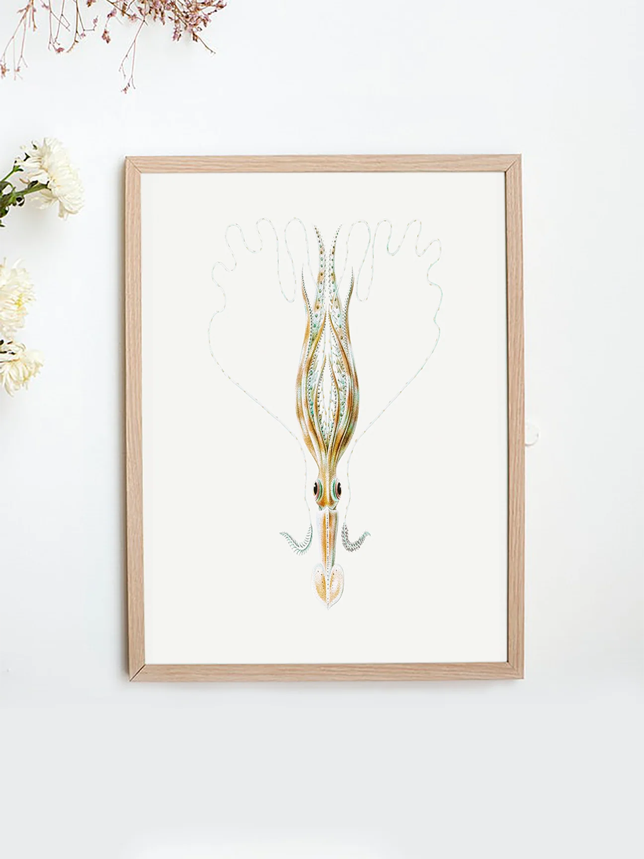 Vintage Wall Art - Squid Illustration Print III - Image 2
