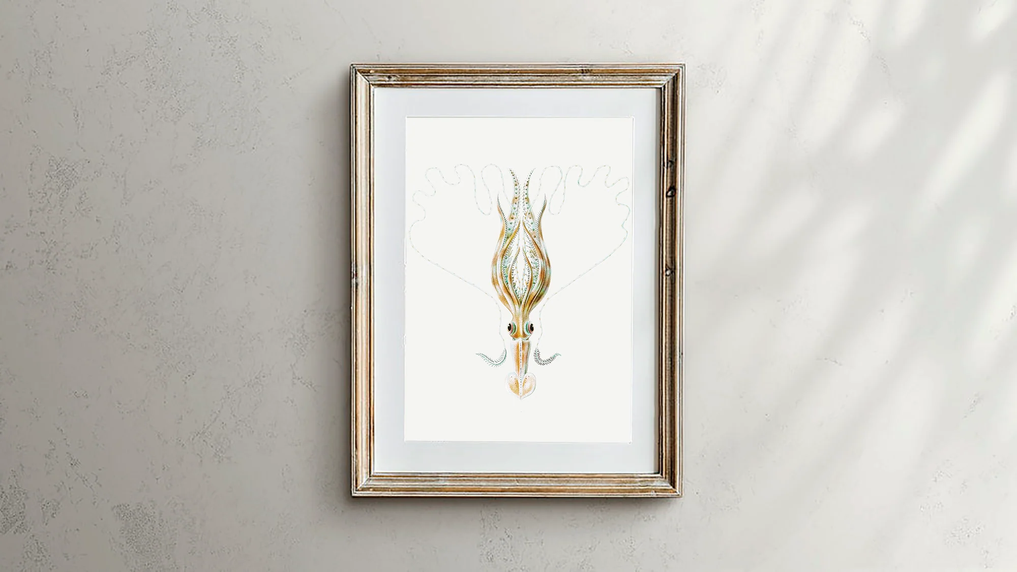 Vintage Wall Art - Squid Illustration Print III - Image 3