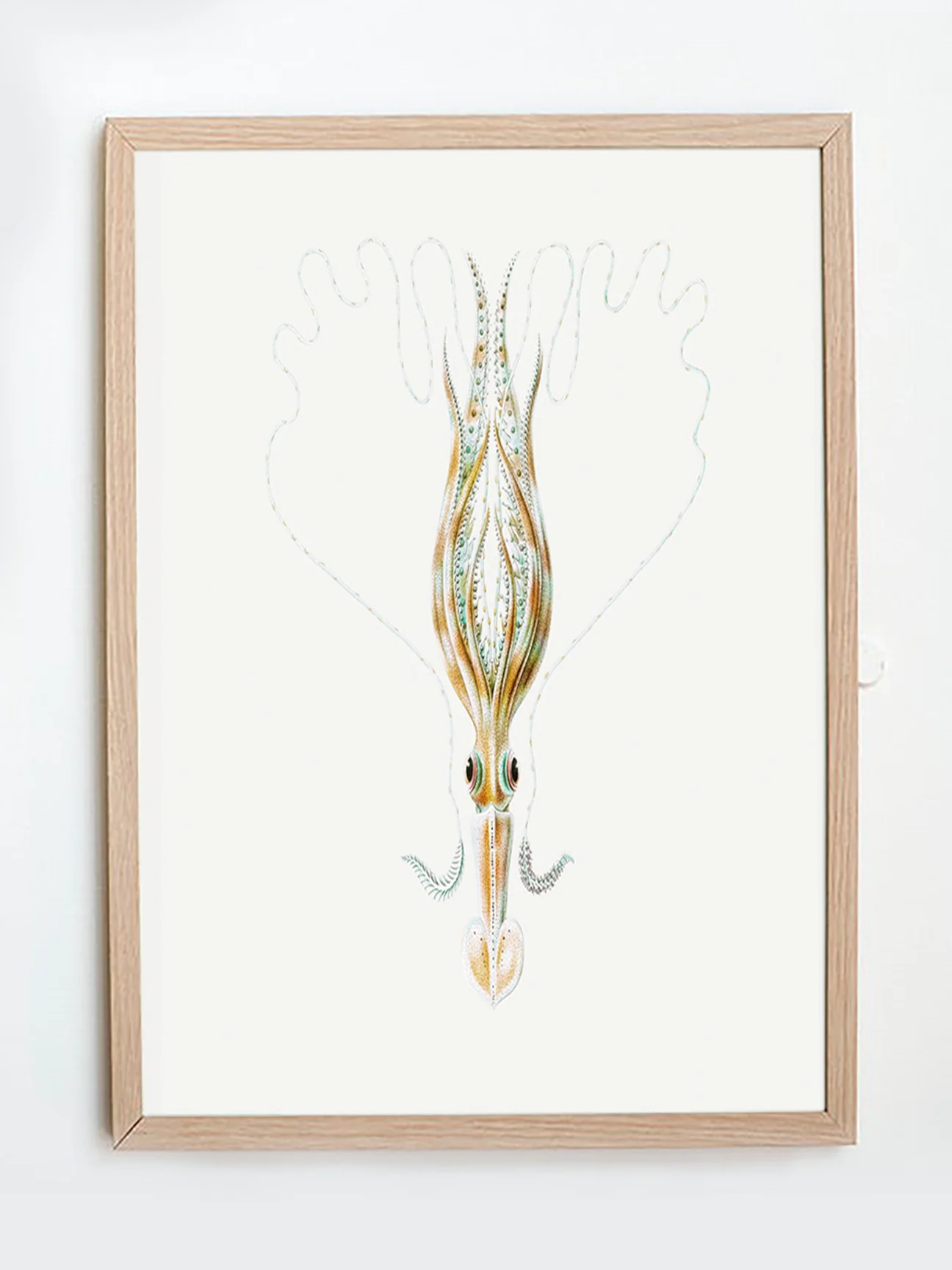 Vintage Wall Art - Squid Illustration Print III - Image 4